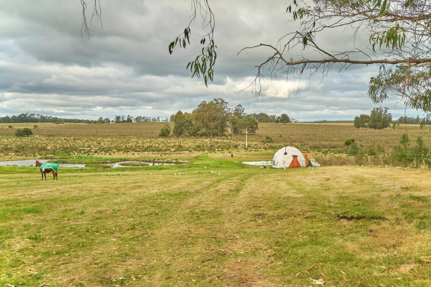 FARMGLAMP