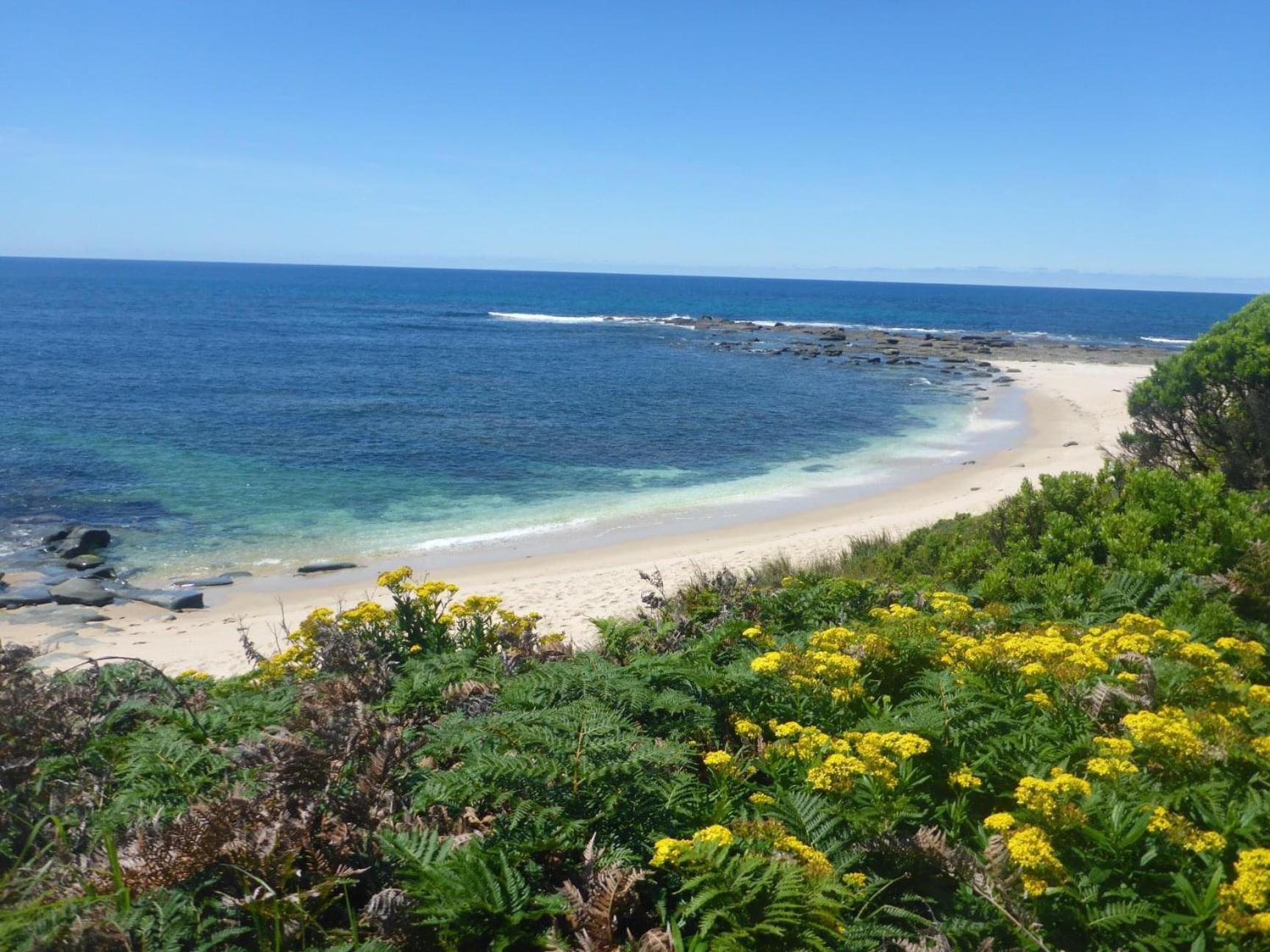 Great Ocean Road Wellness and Nature Stay
