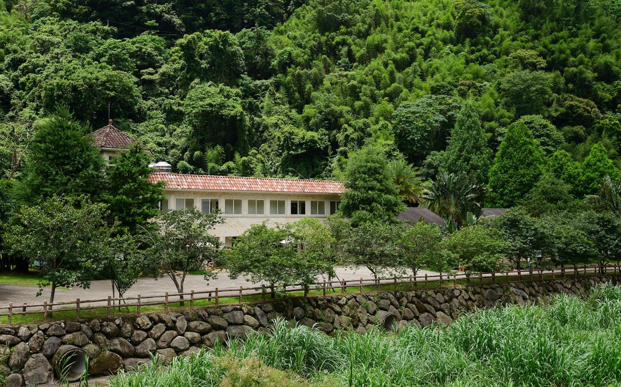 Photo 43