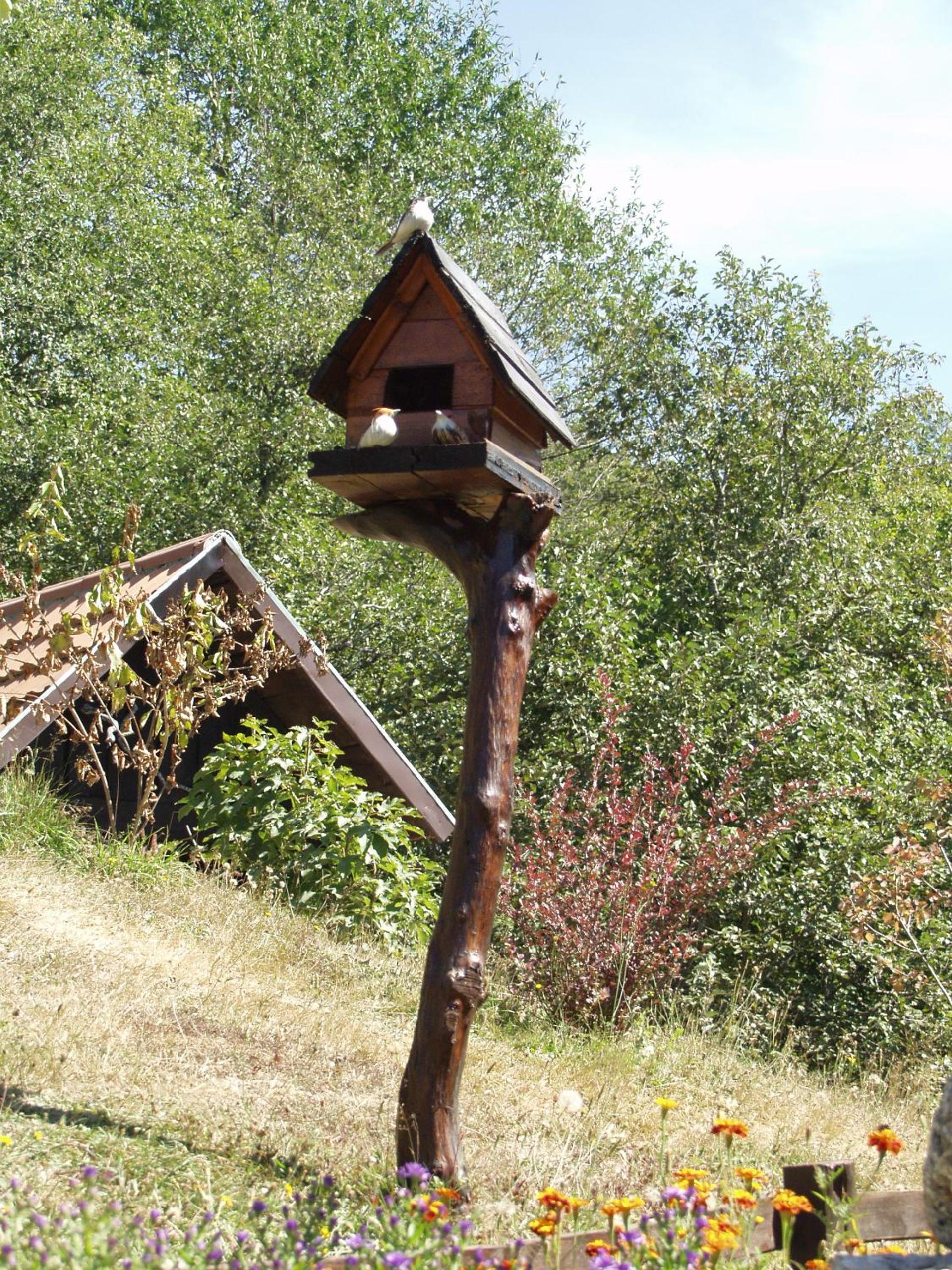 Photo 21