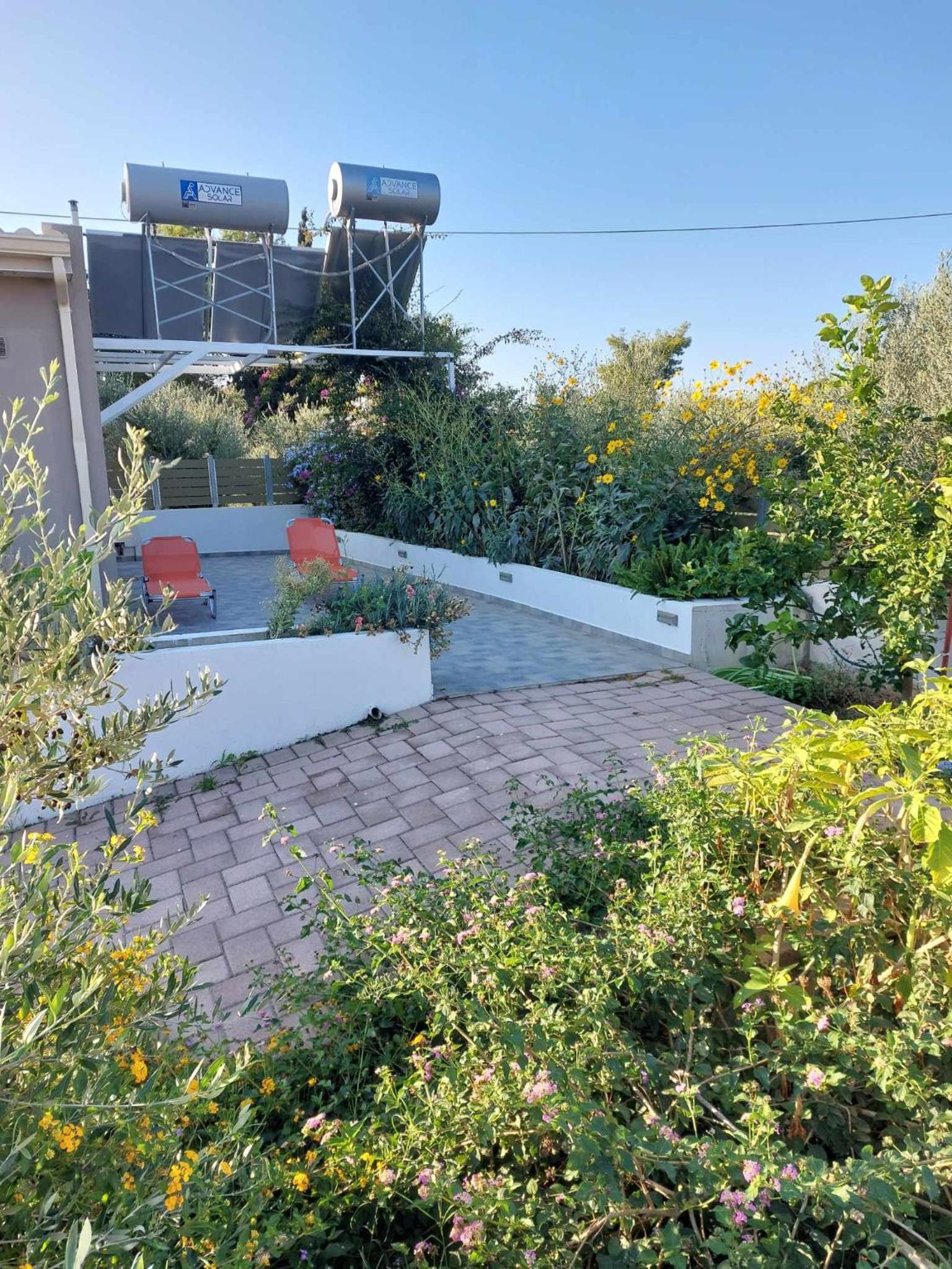 Hotel tzogias apartments helen - Image 1