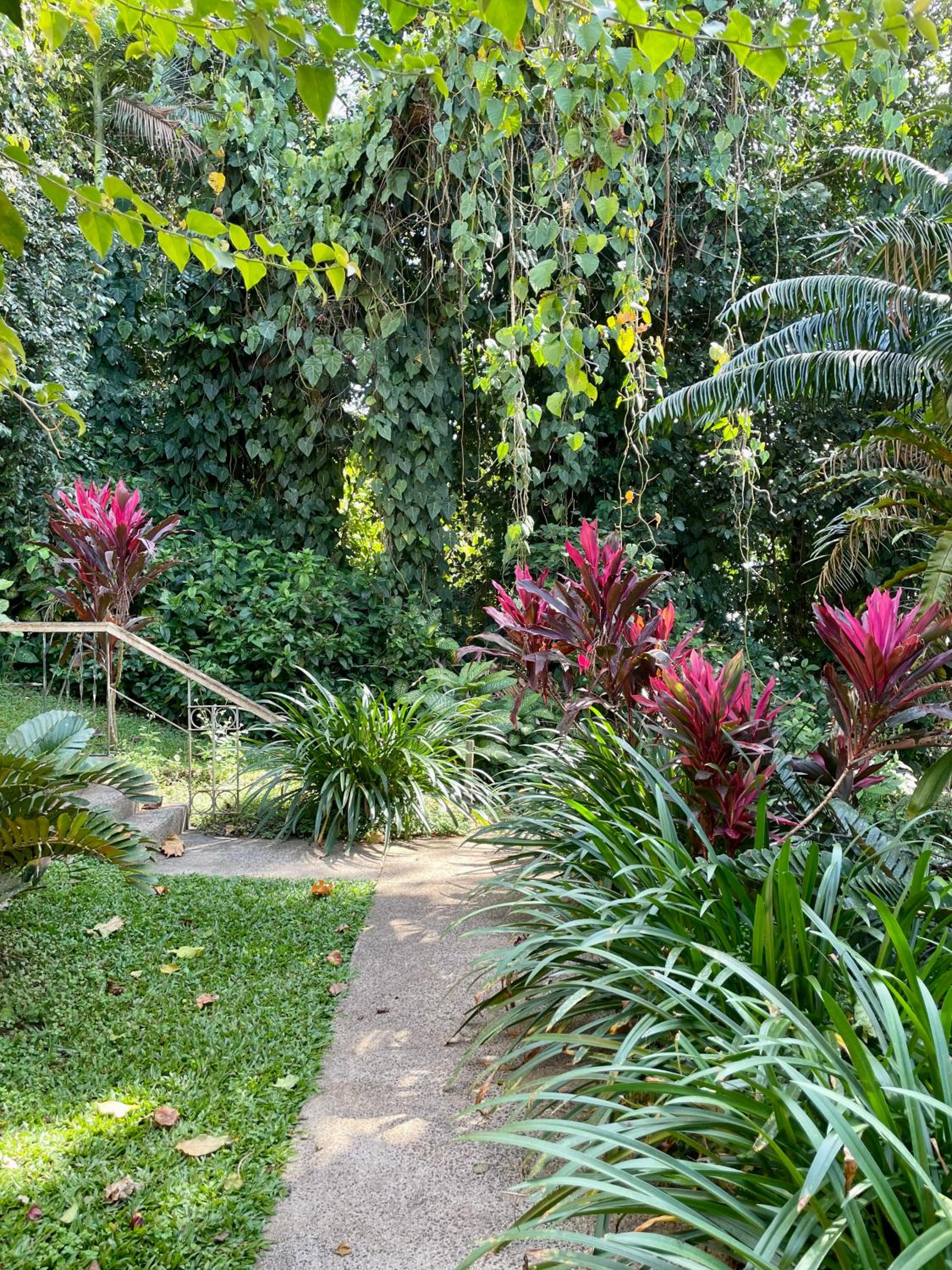 Babinda Quarters