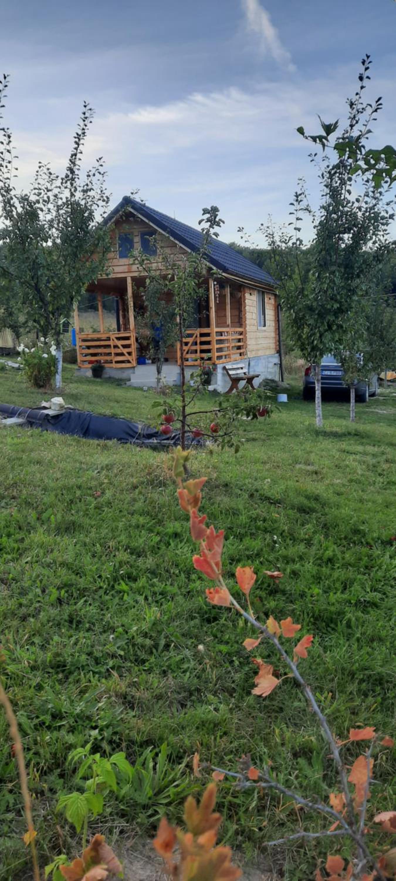 Photo 27