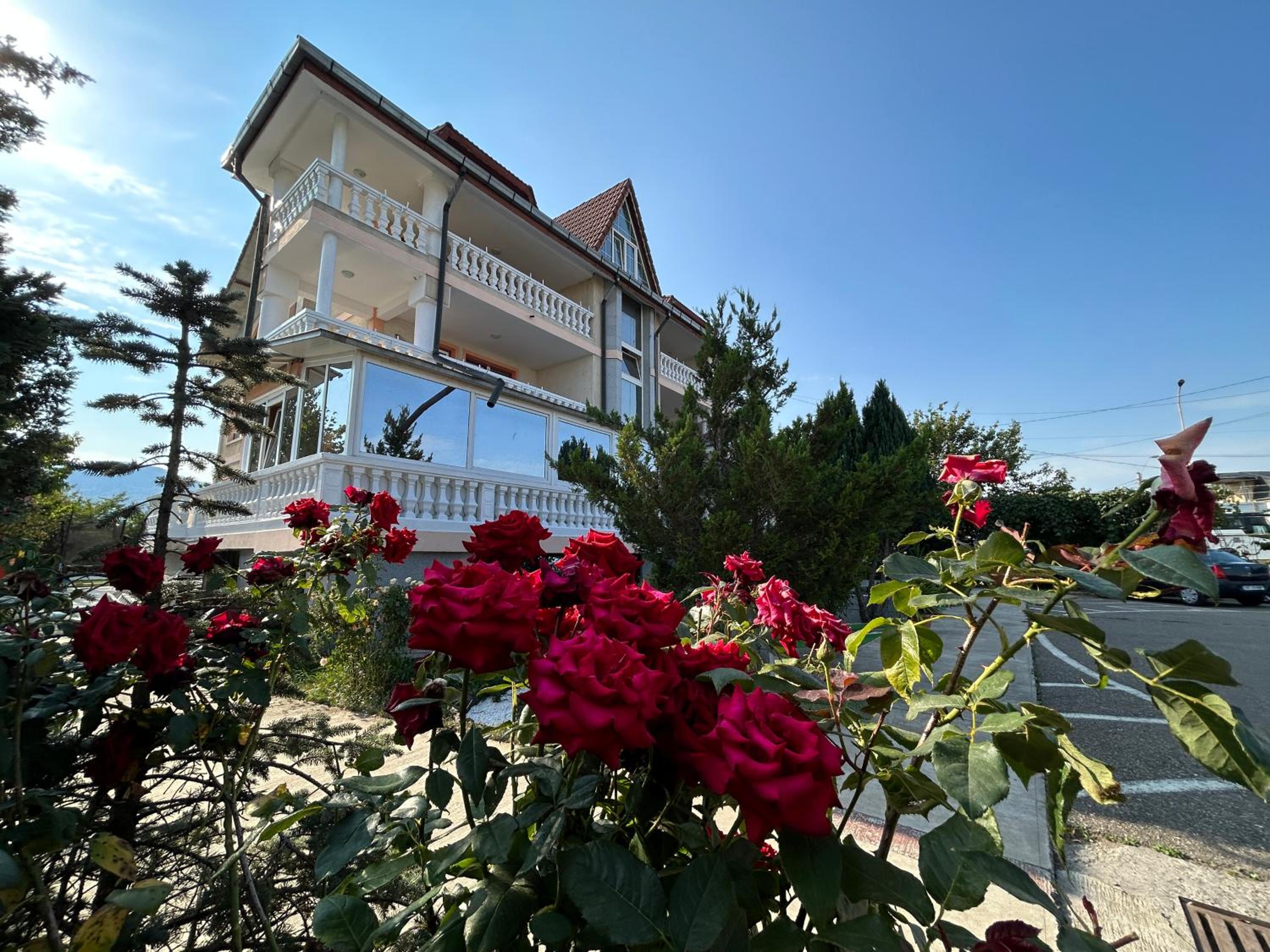 Pensiunea Cornelius view 2