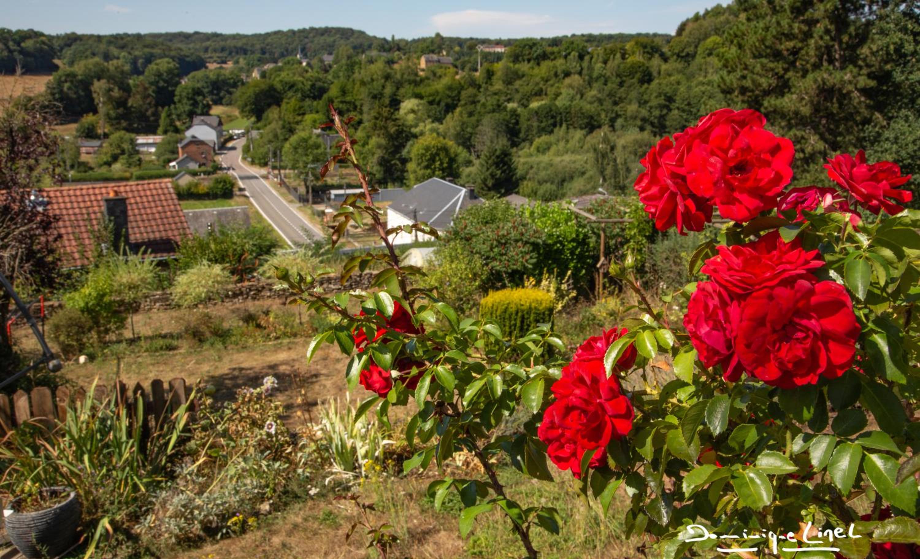 Au balcon de la Gaume