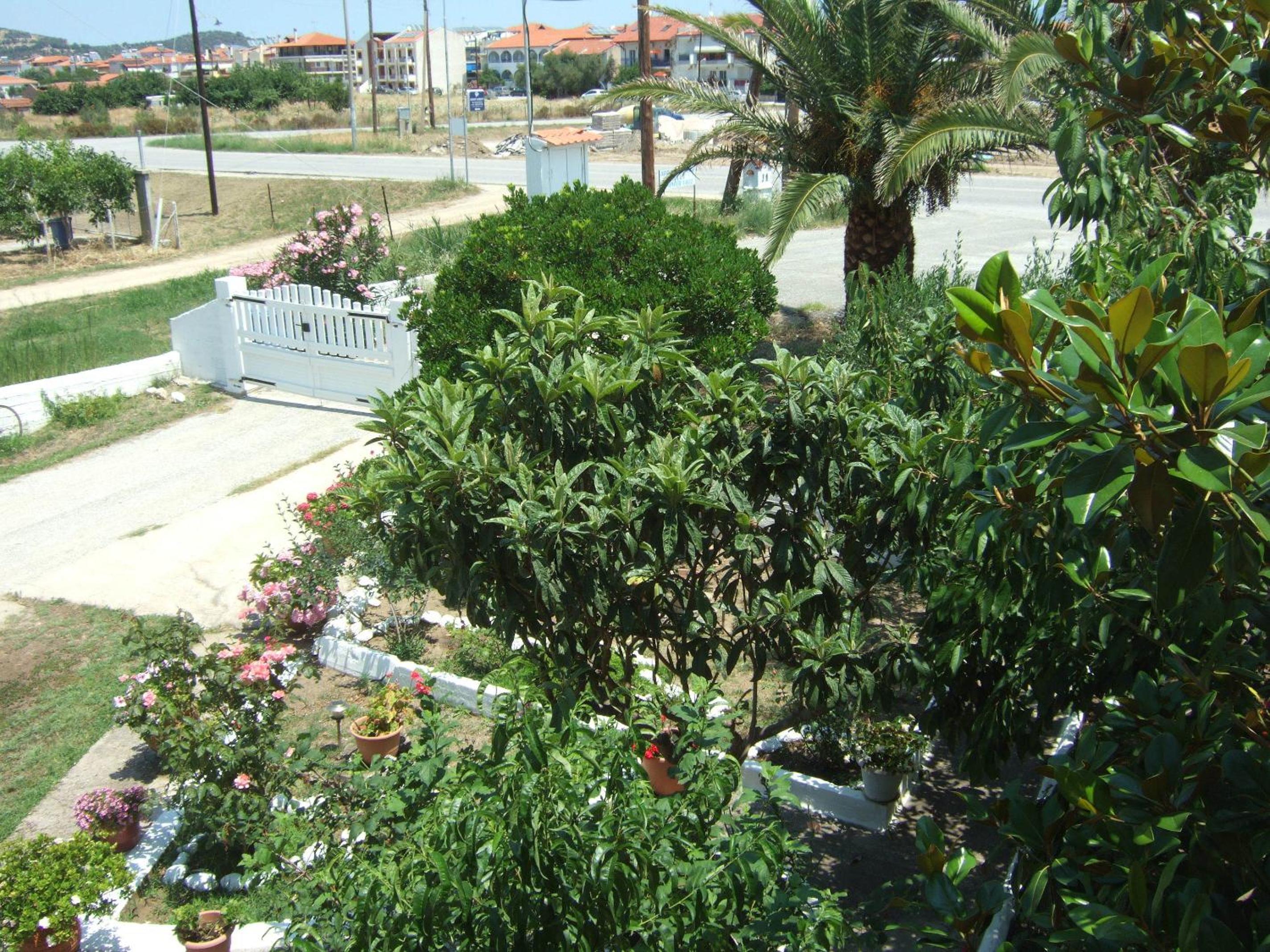 Photo 16