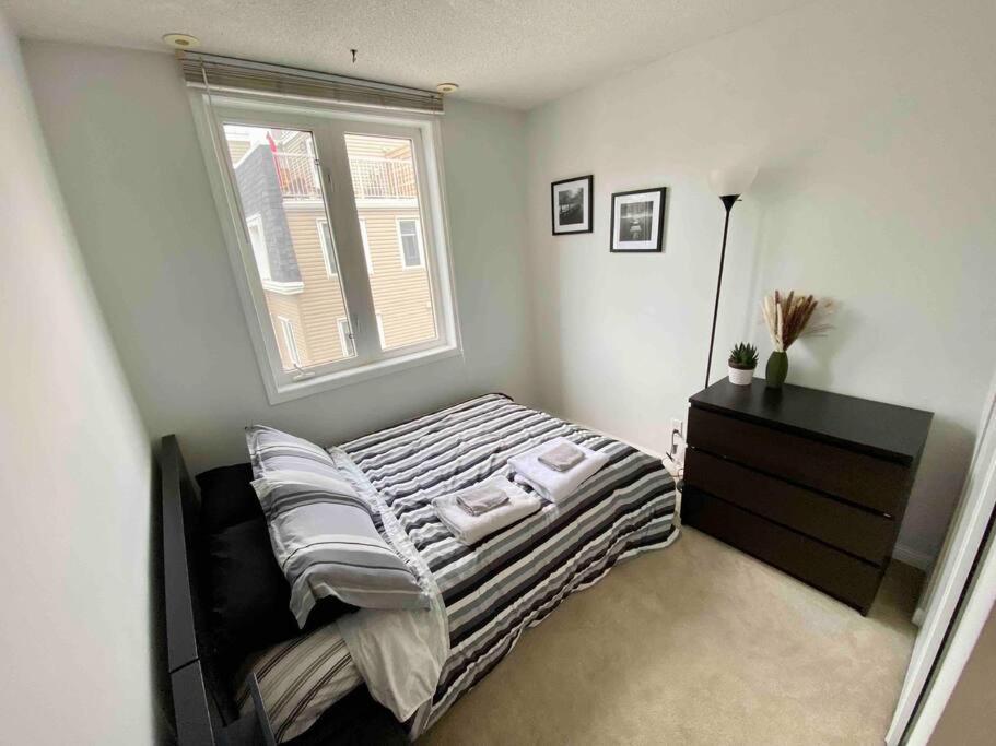 King West Private Rooftop Retreat