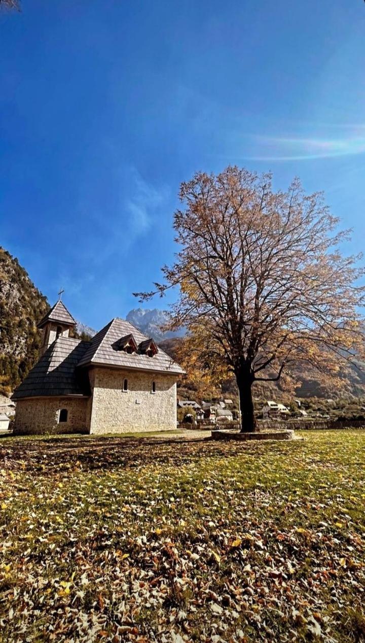 Mikel Center Theth Guesthouse