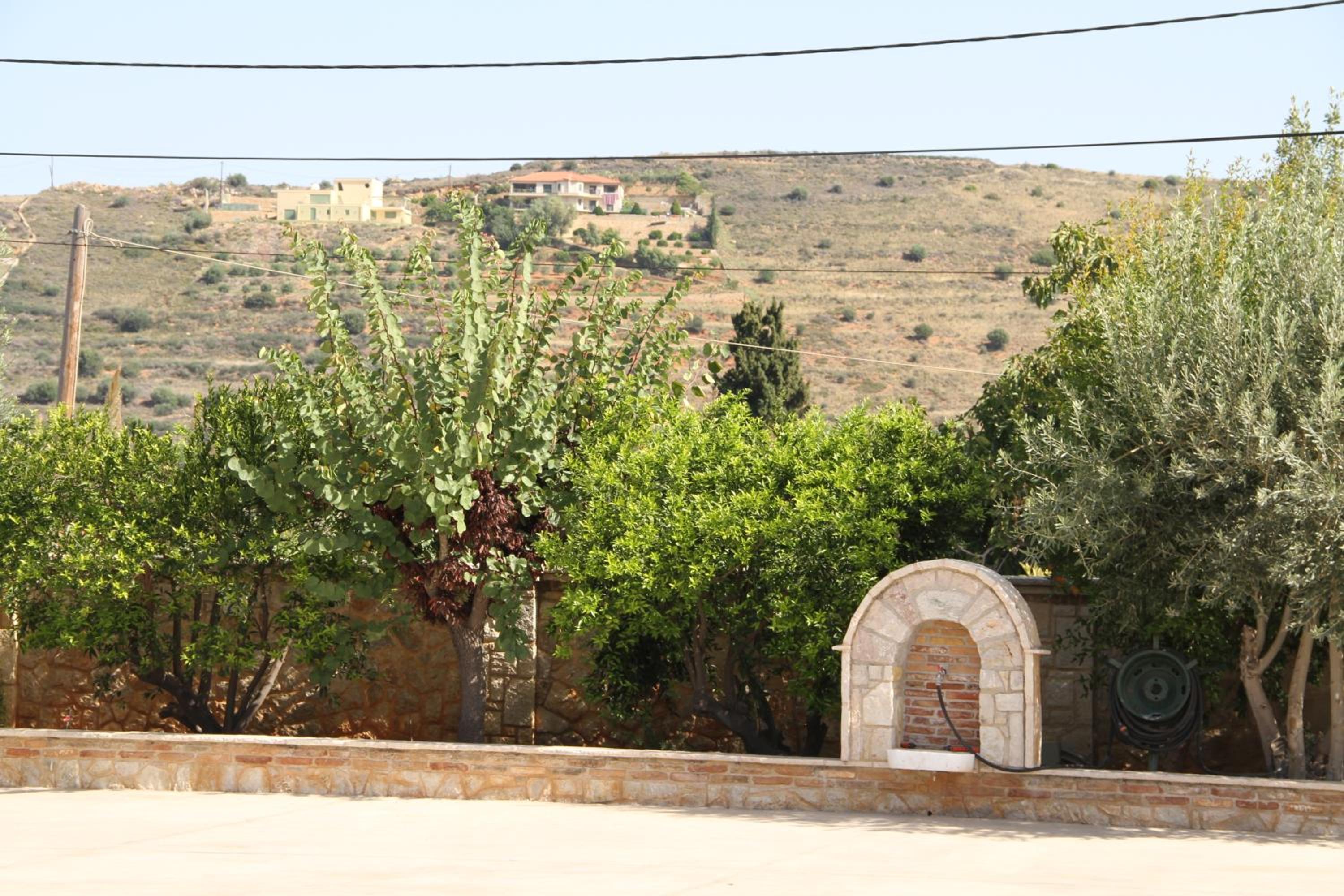 Photo 25