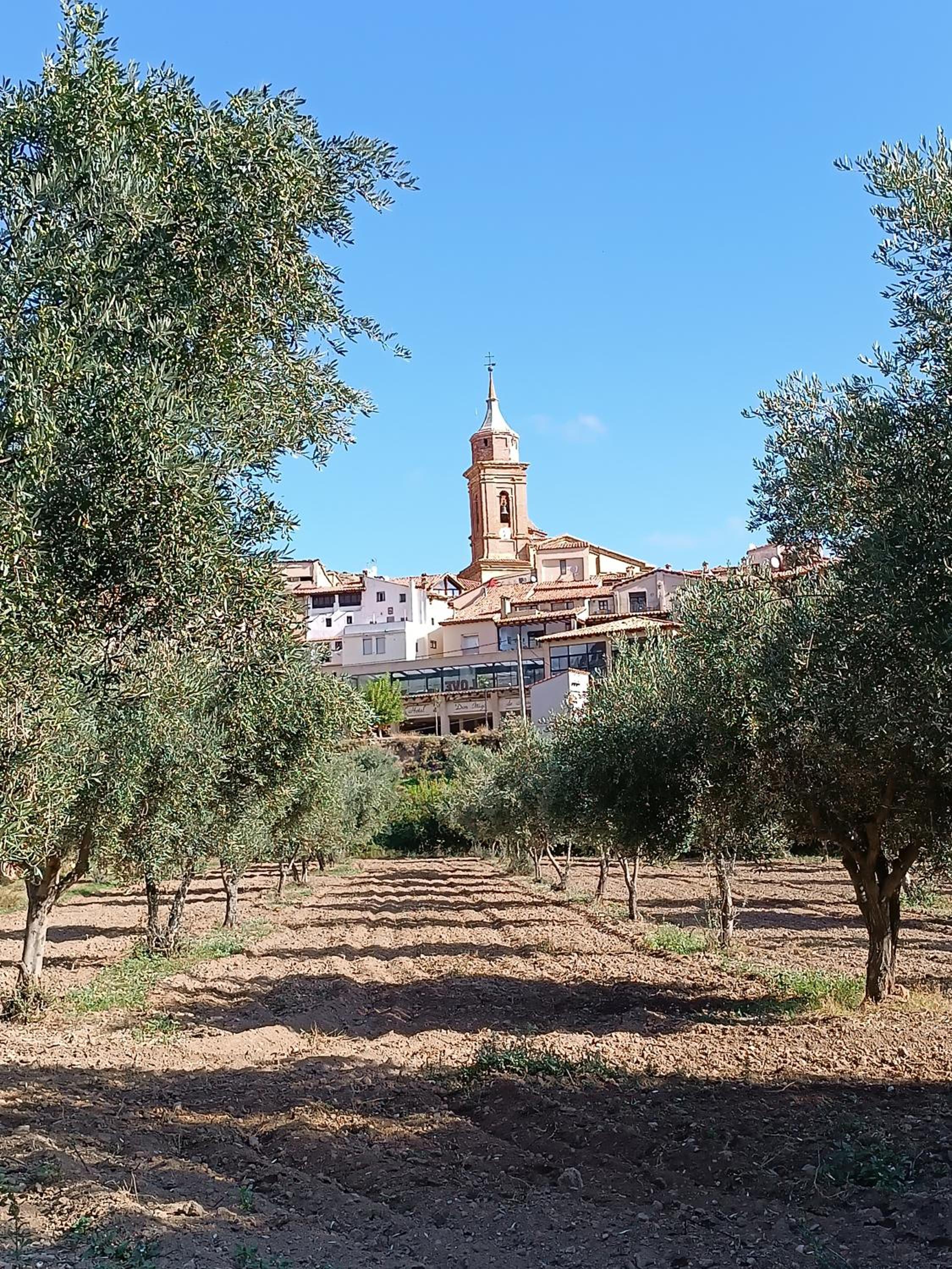 Casa Rural Moliner view 5
