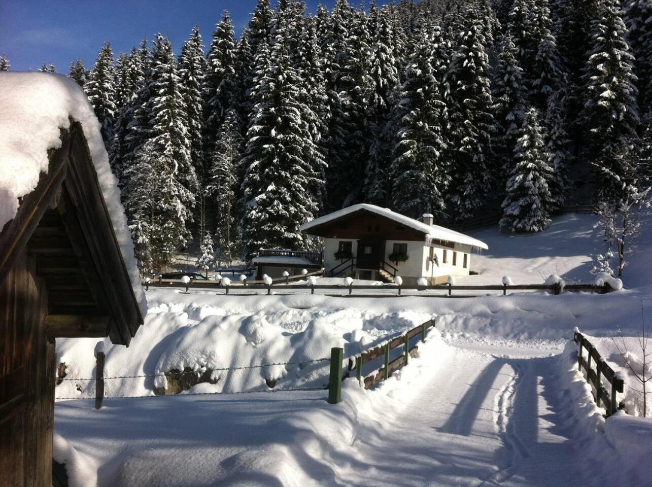 Dahoam by Sarina - Das Almchalet incl Viehhofen summercard