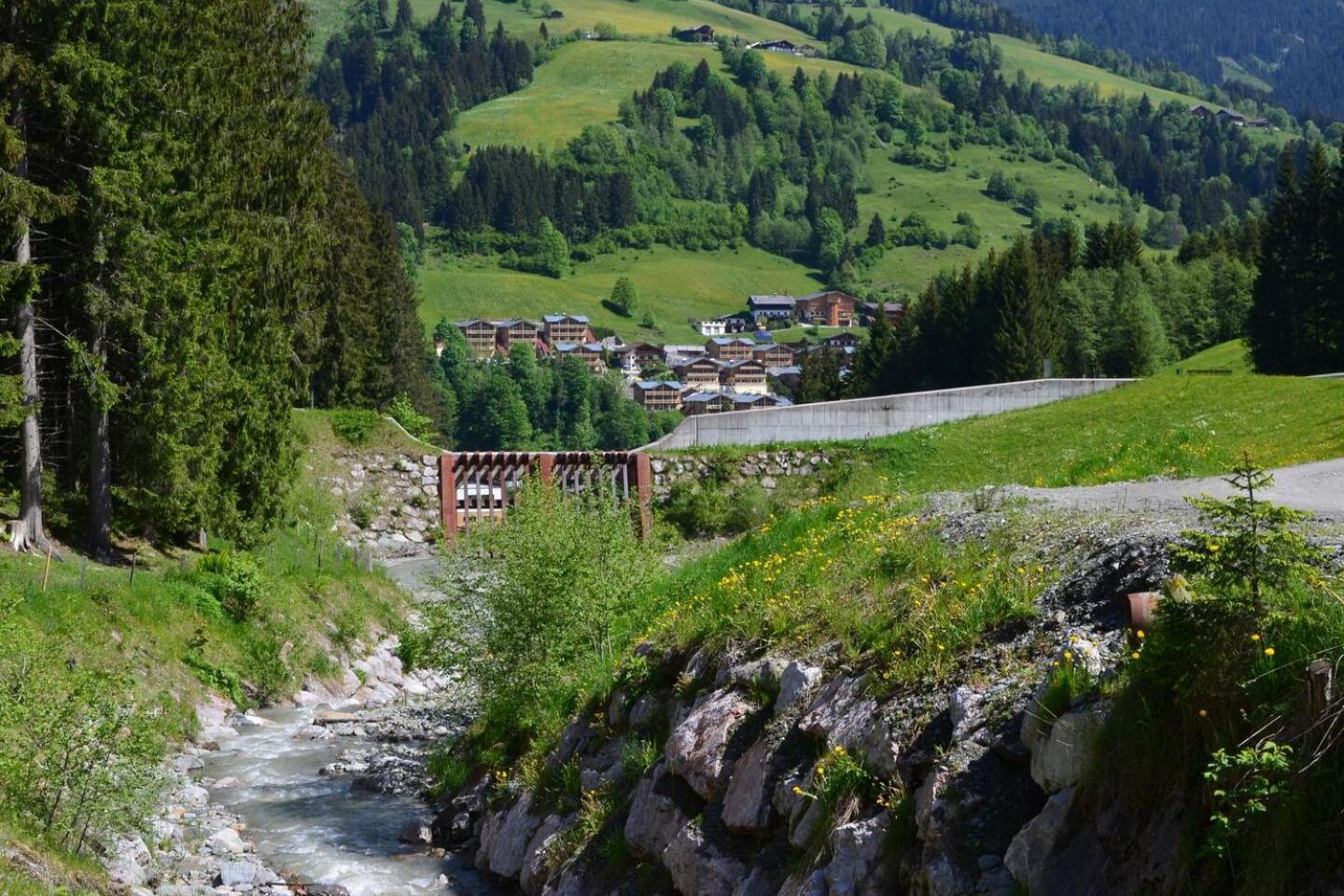 Dahoam by Sarina - Das Almchalet incl Viehhofen summercard