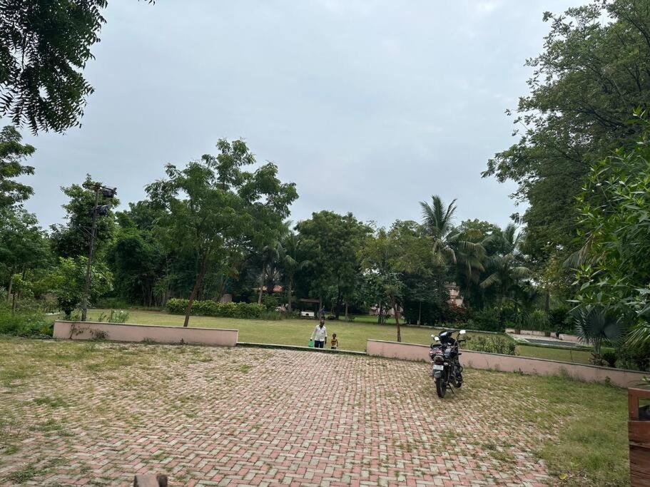Photo 21