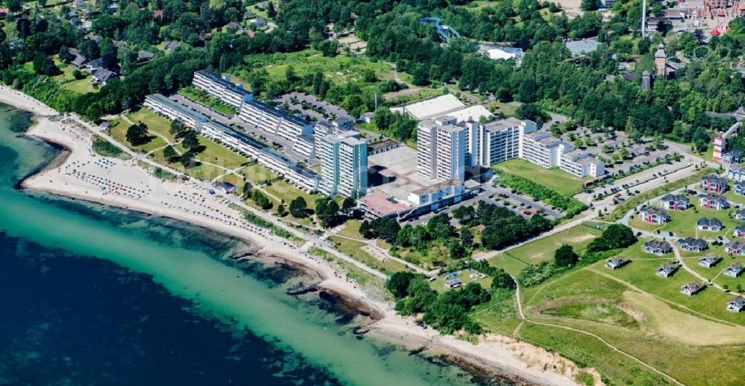 Ostseeschwalbe am Fahrenkrog