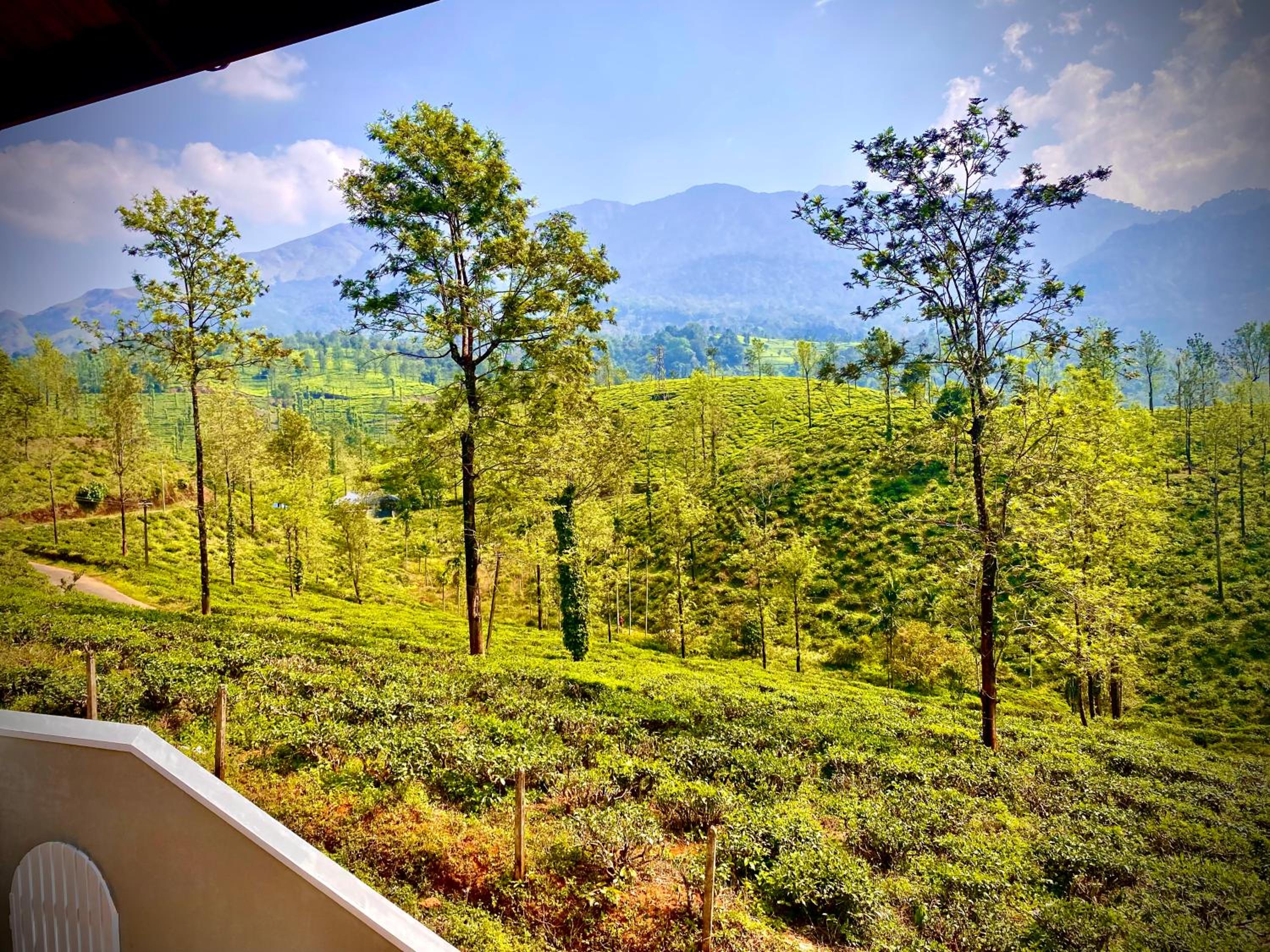 THALIMALA BUNGALOW