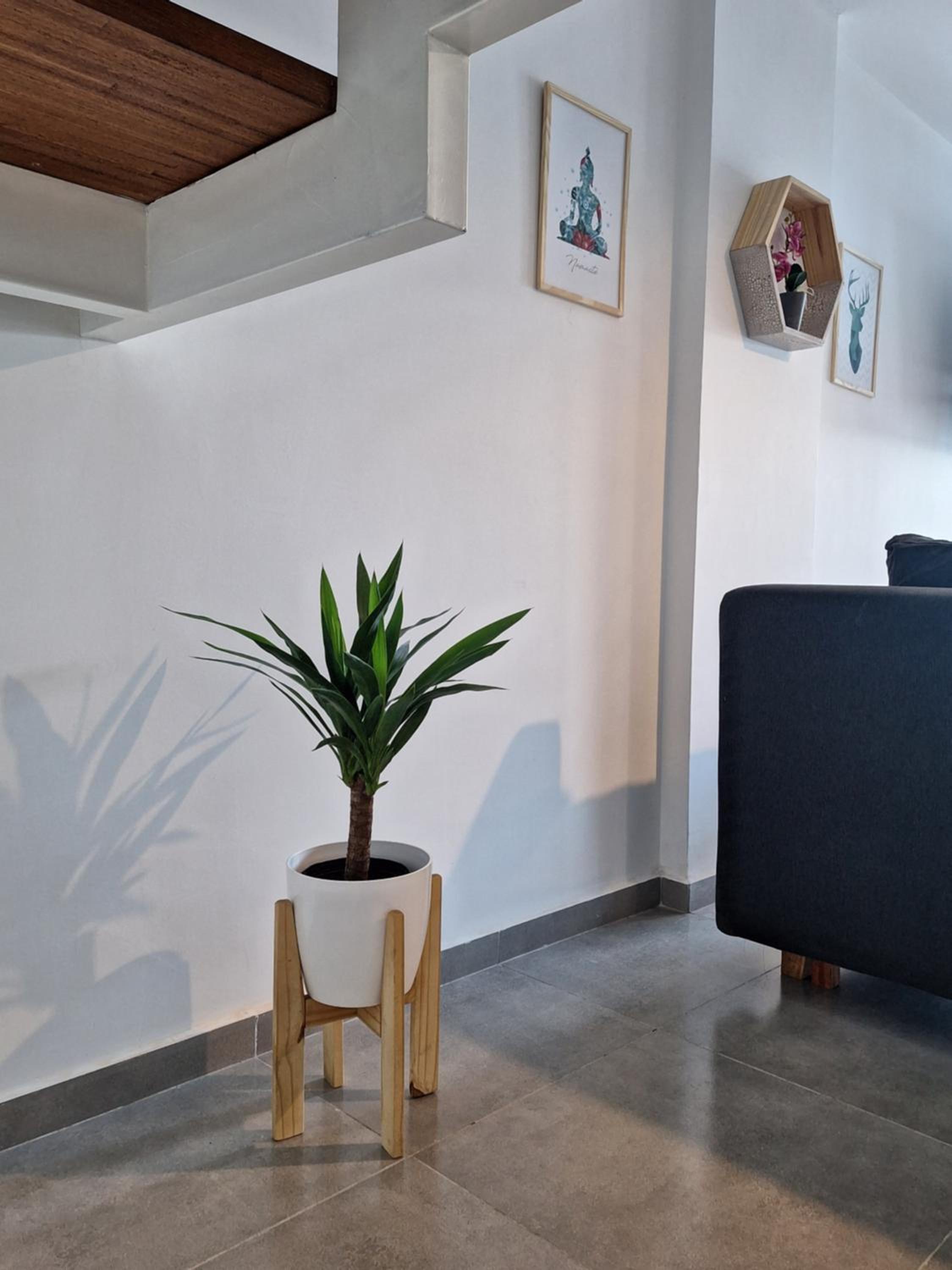 Gran Duplex Paseo Quattro 22 (centrico) - Cochera + Pileta