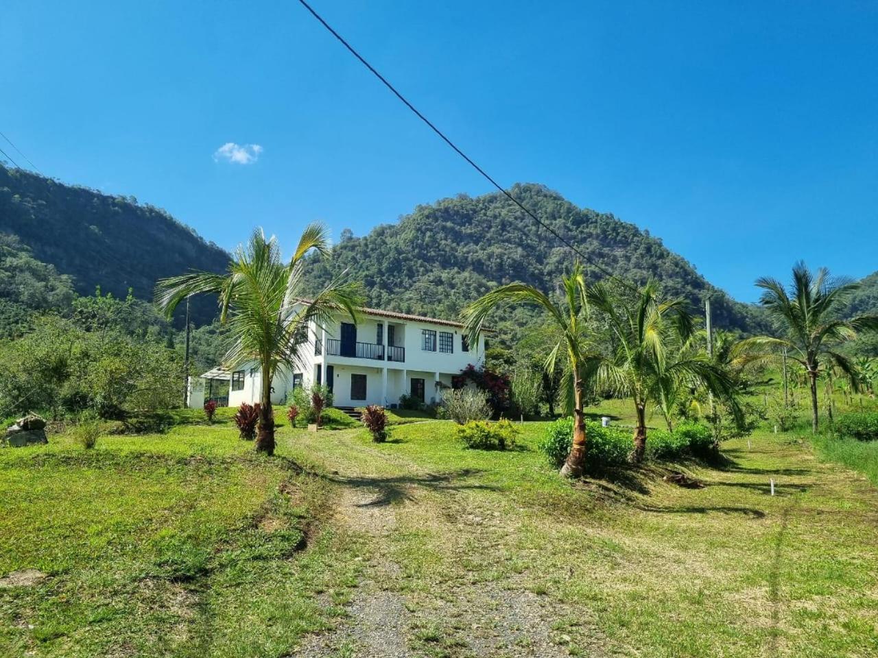 Mountain view house