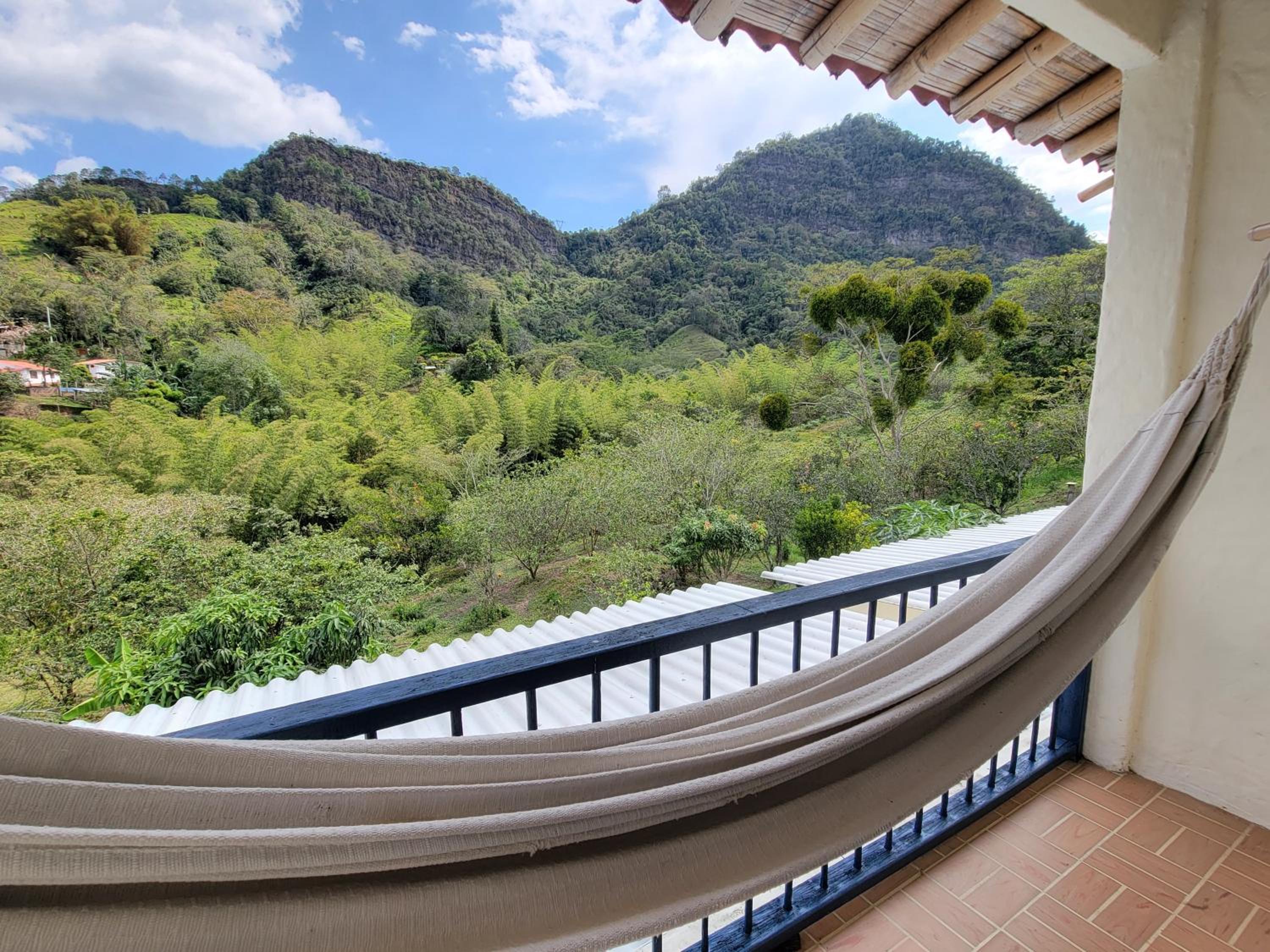 Mountain view house