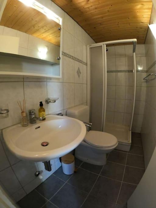 Chalet Terza