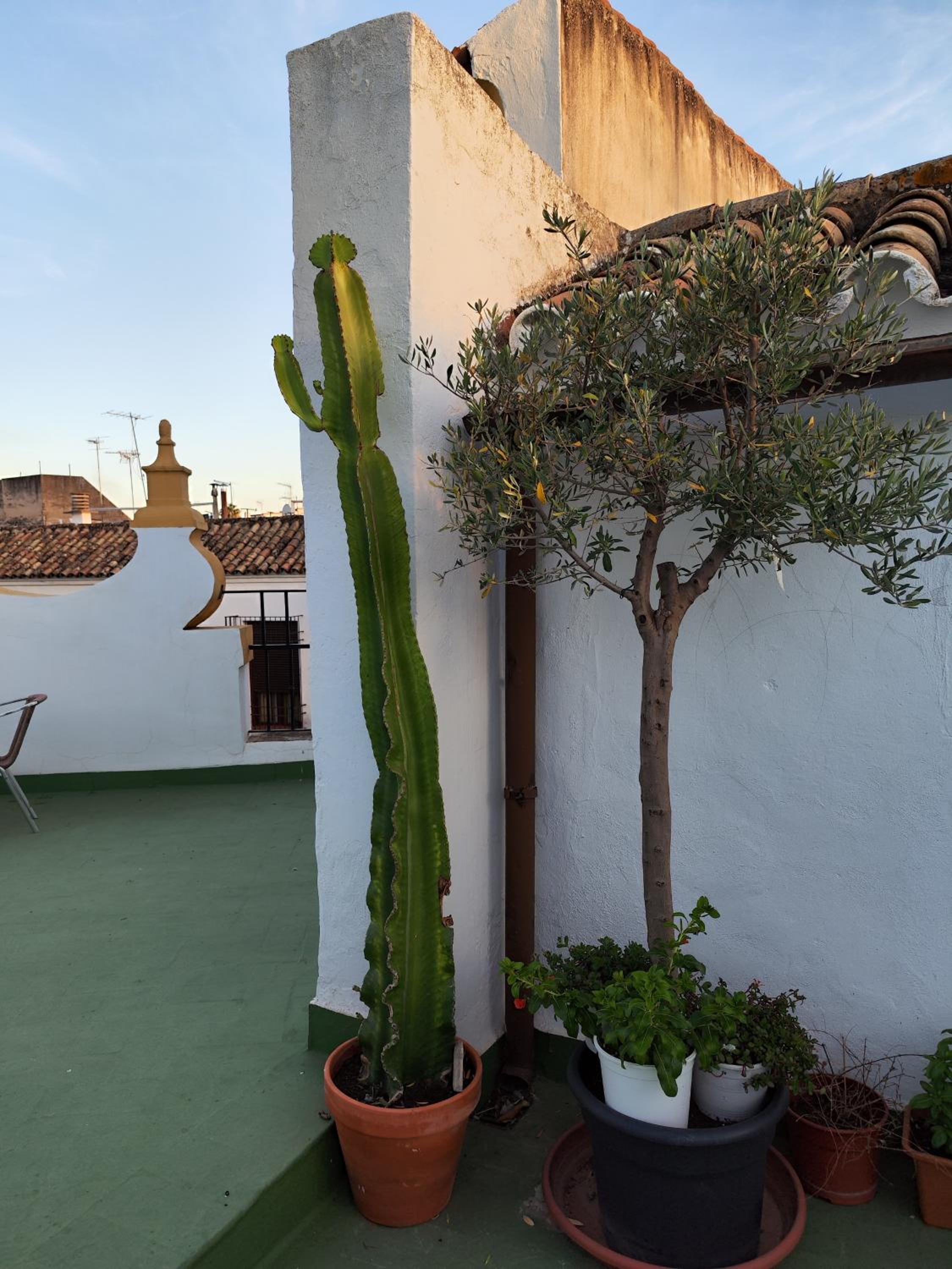 Casa PALIANI