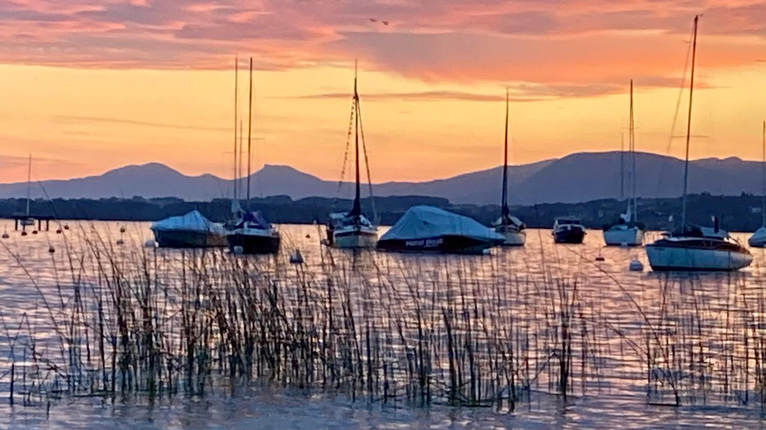 Ahornlounge Faoug am Murtensee