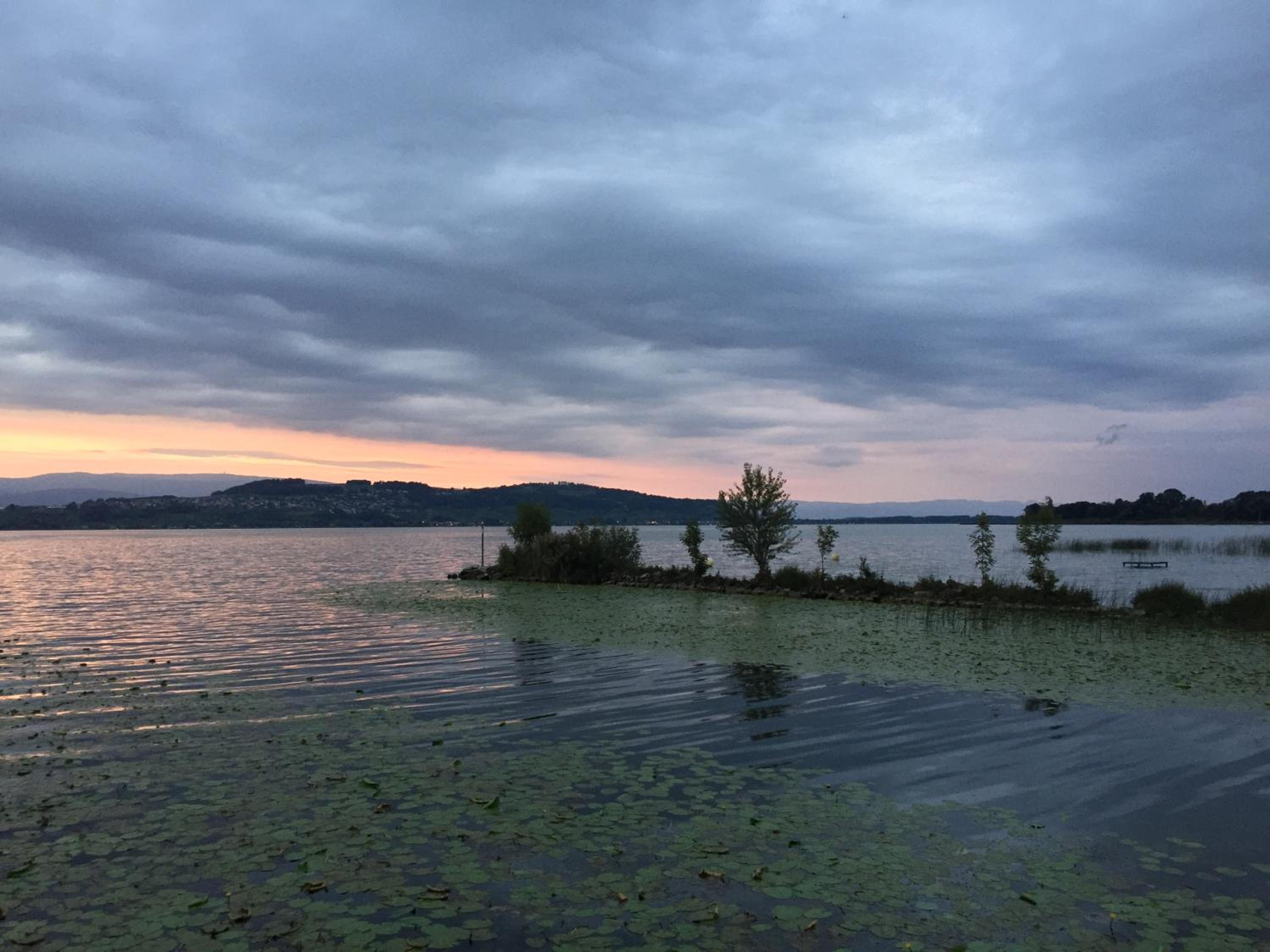 Ahornlounge Faoug am Murtensee