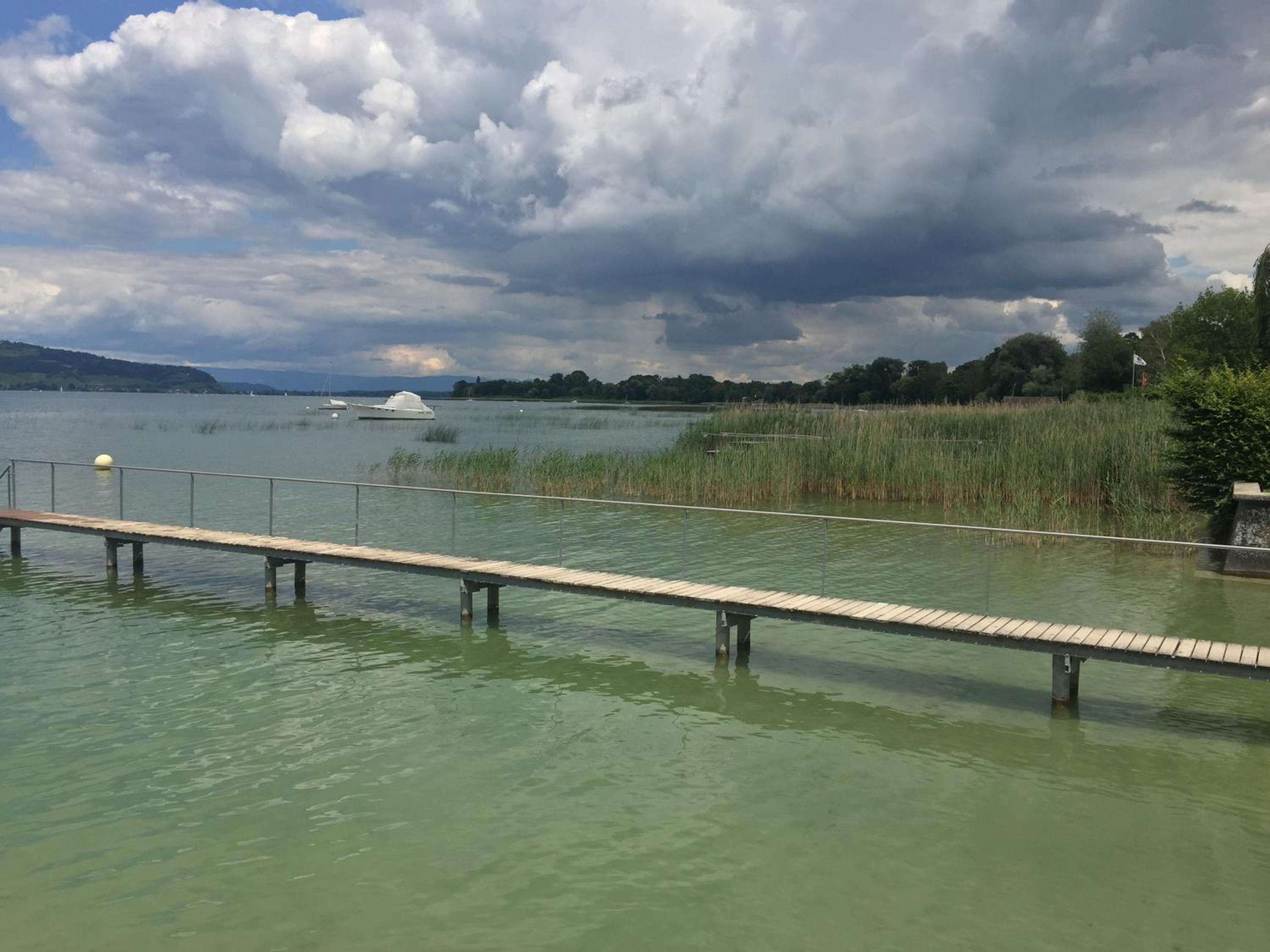 Ahornlounge Faoug am Murtensee