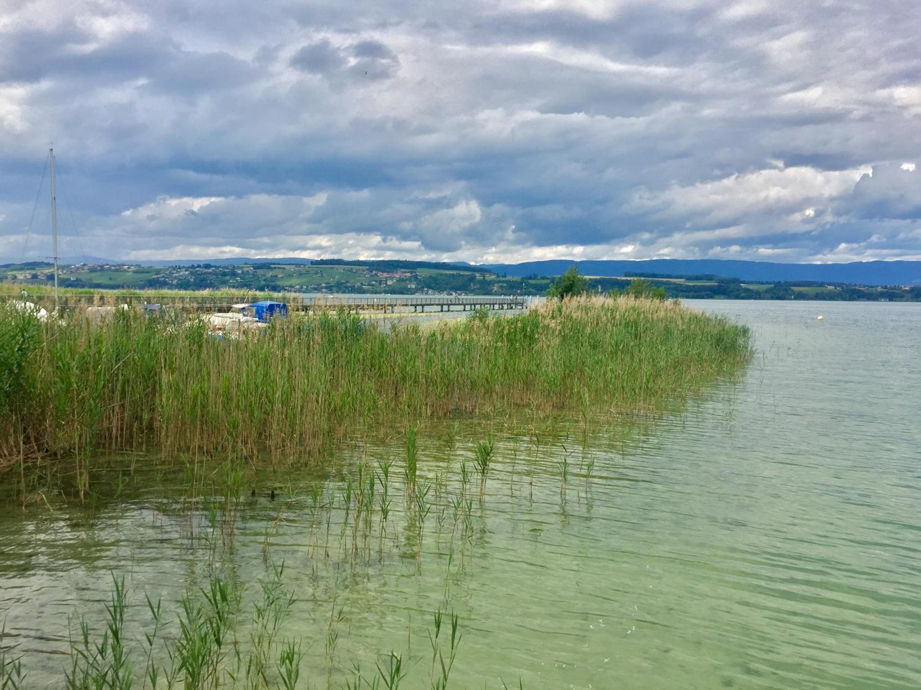 Ahornlounge Faoug am Murtensee