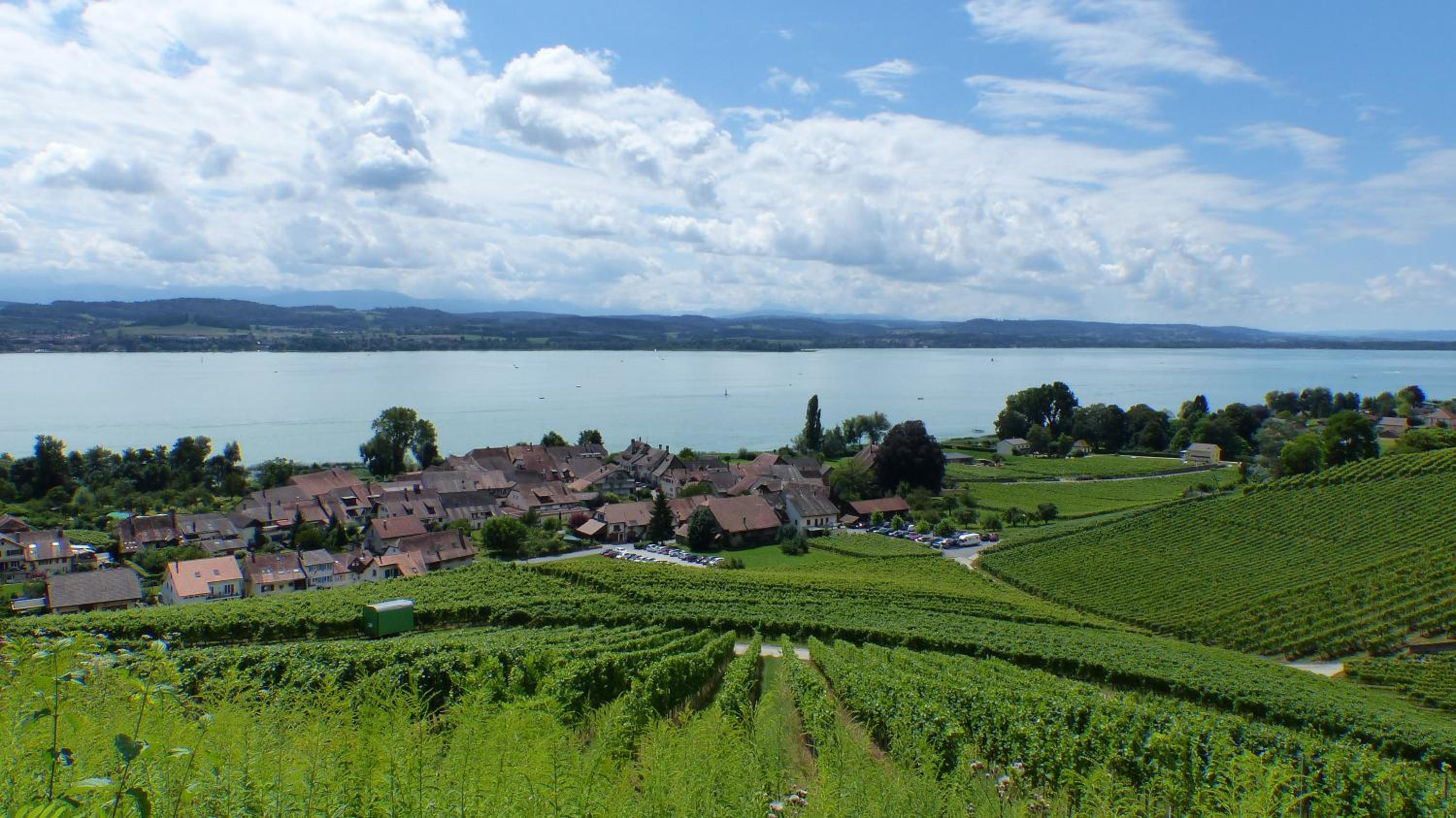 Ahornlounge Faoug am Murtensee