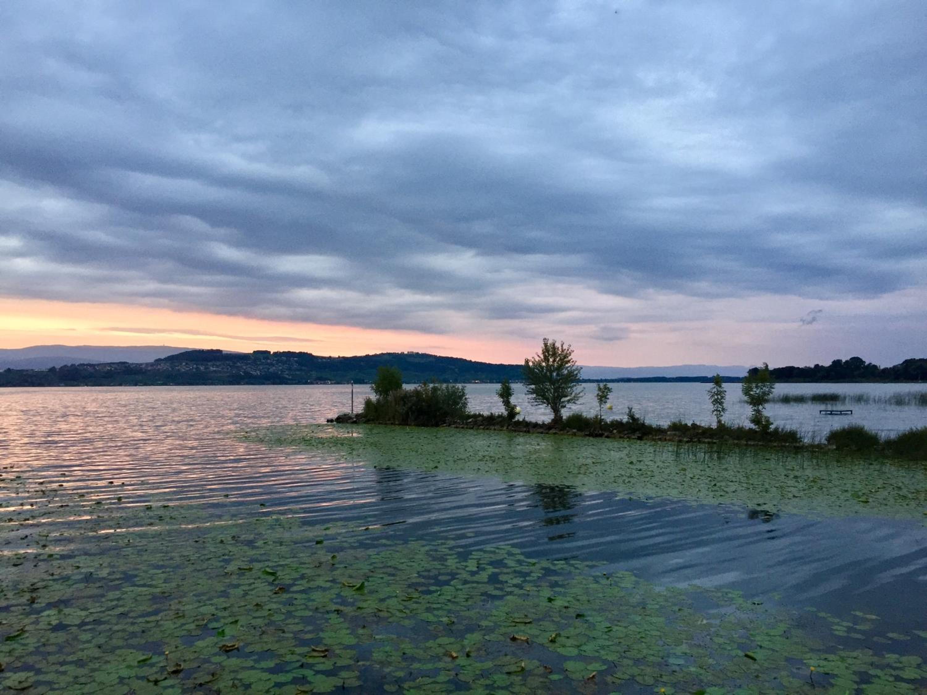 Ahornlounge Faoug am Murtensee