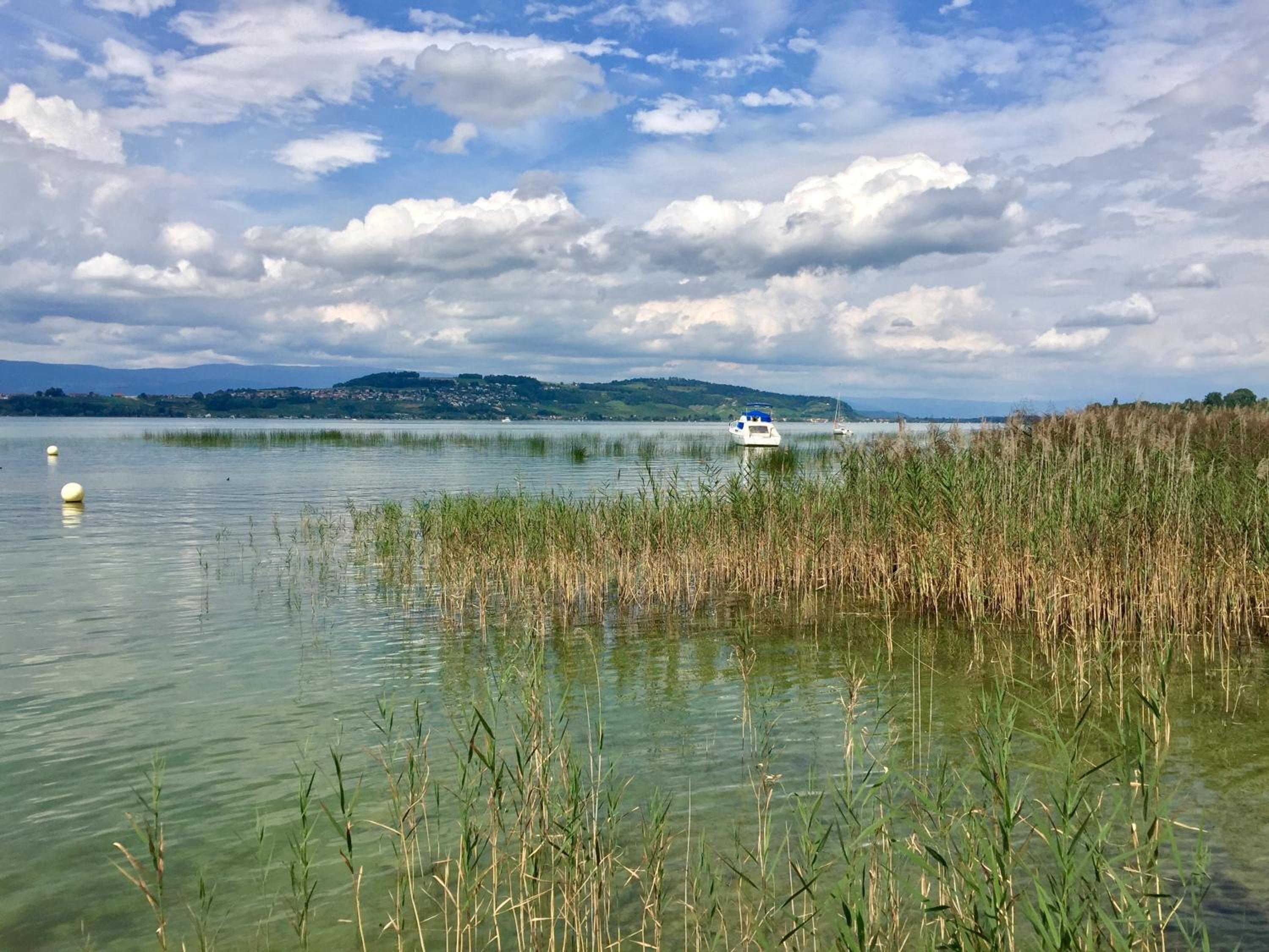 Ahornlounge Faoug am Murtensee