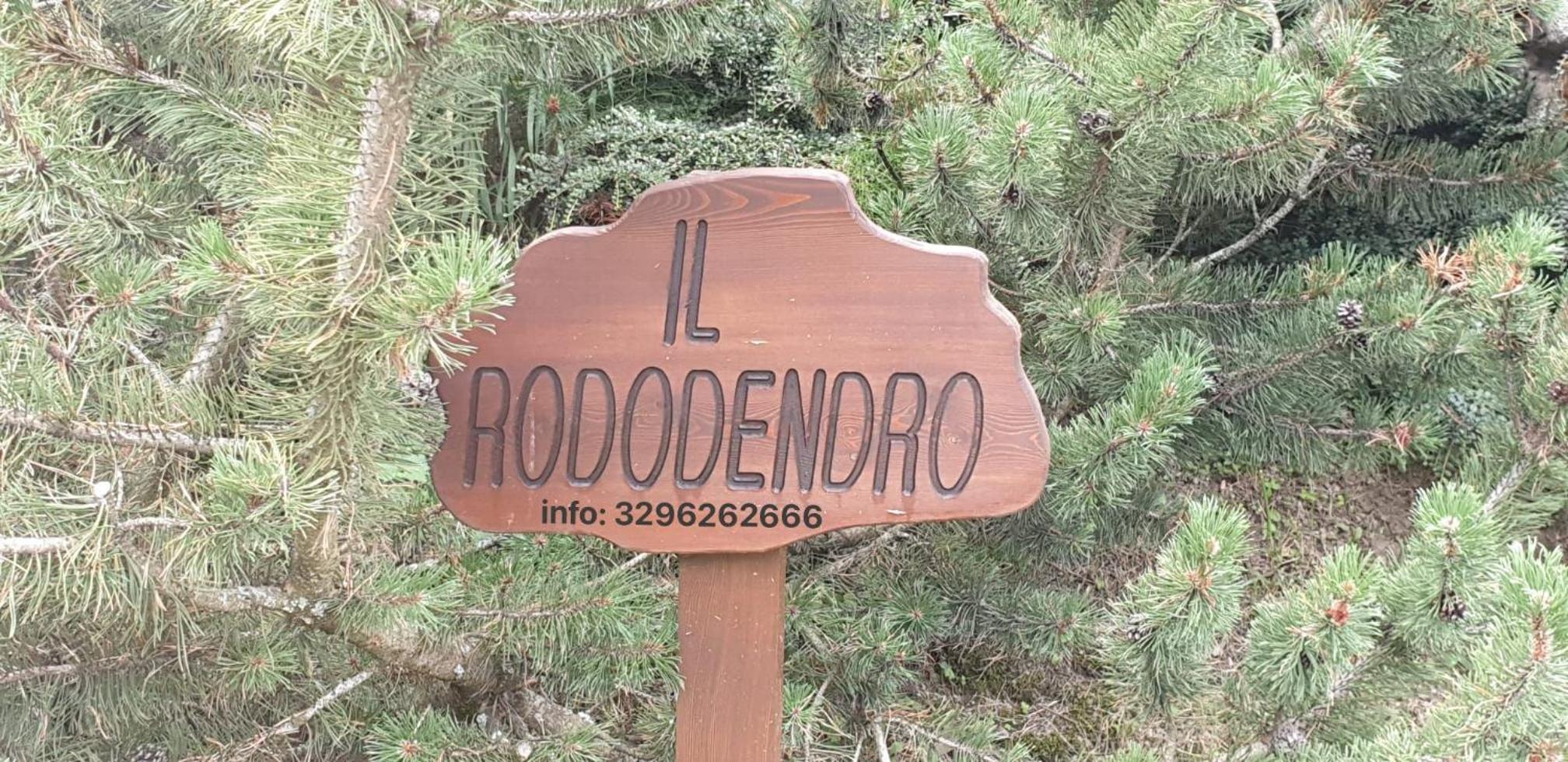Appartamento Rododendro view 4
