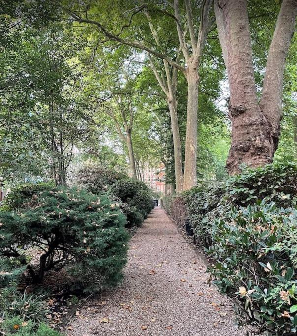 Central Stunning 2BR Flat w2 Patio in Kensington