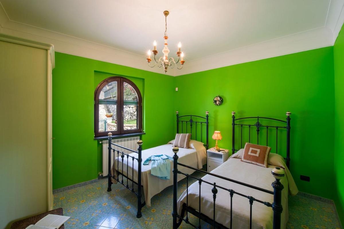 Villa Turtle photo 4