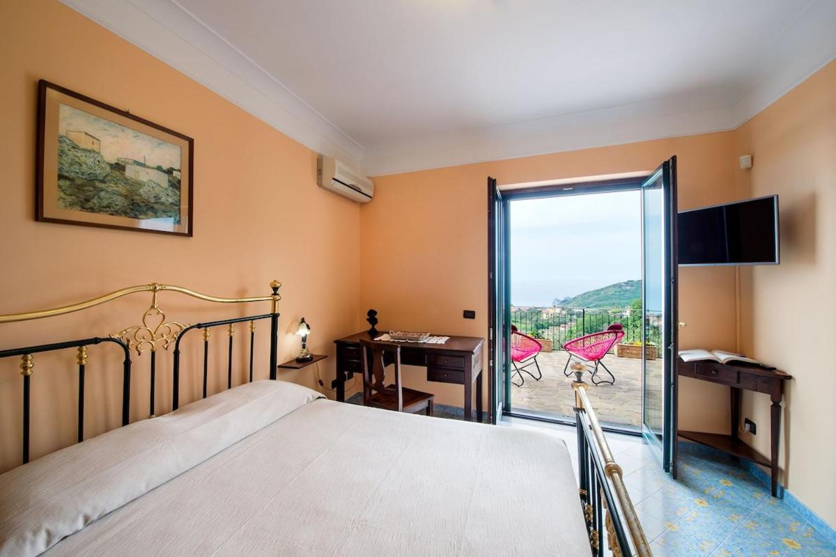 Villa Turtle photo 2