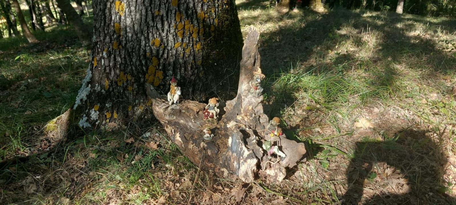 Photo 40