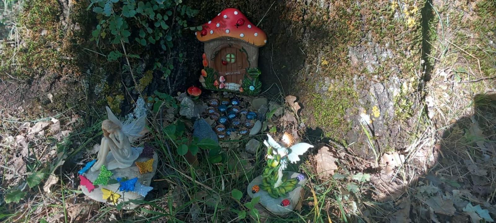 Photo 46