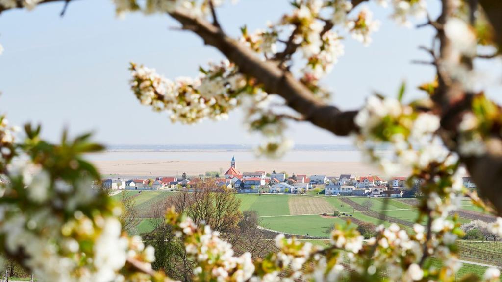 Villa SEEhnsucht Ferienwohnungen