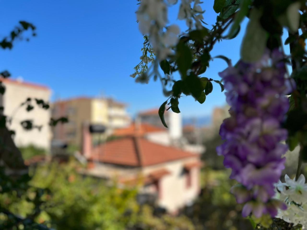 Wisteria