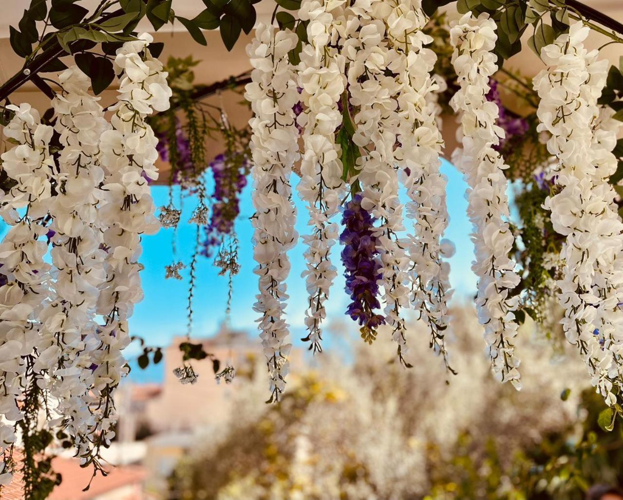 Wisteria
