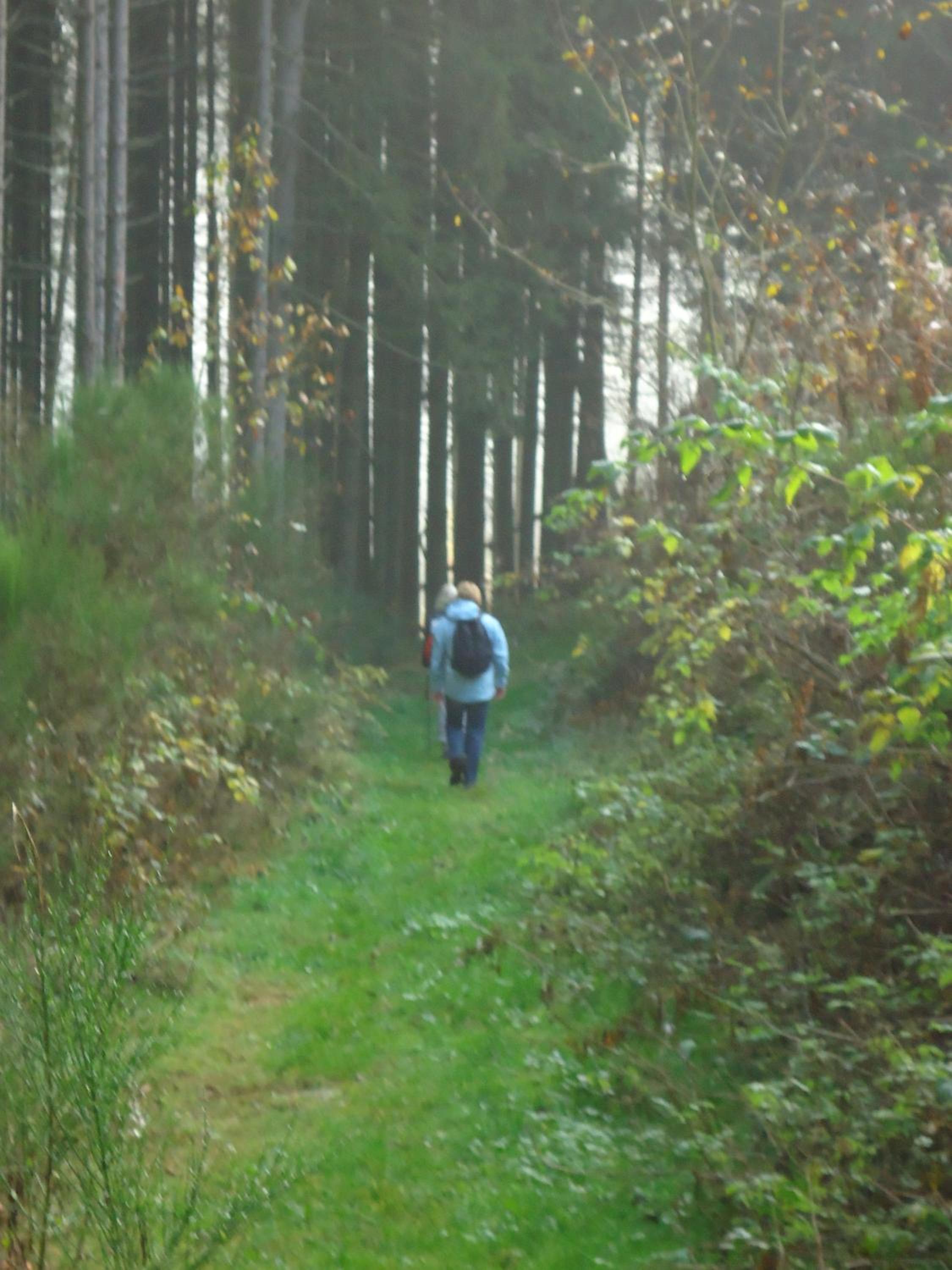 Photo 45