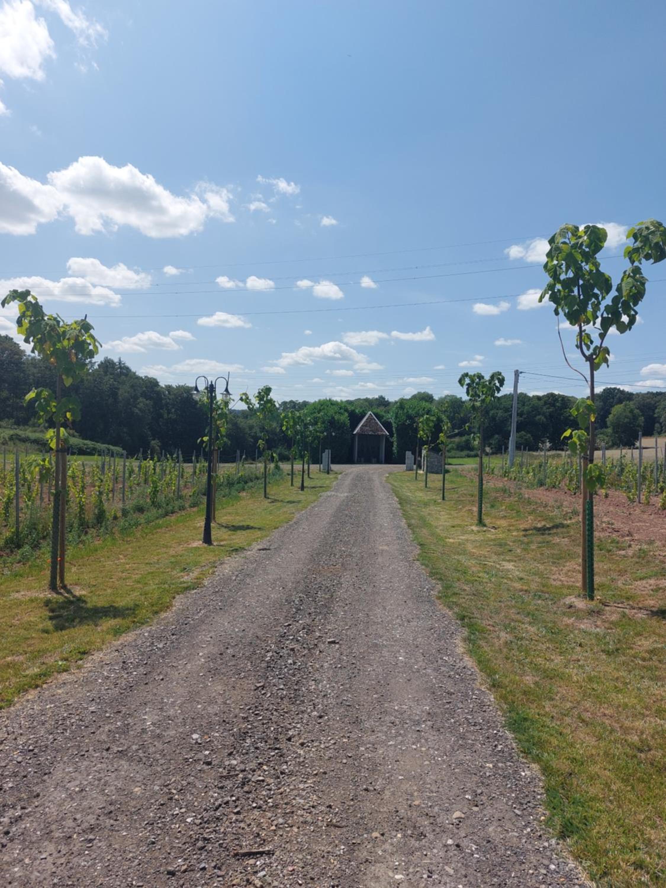 La Ferme de Sotrez