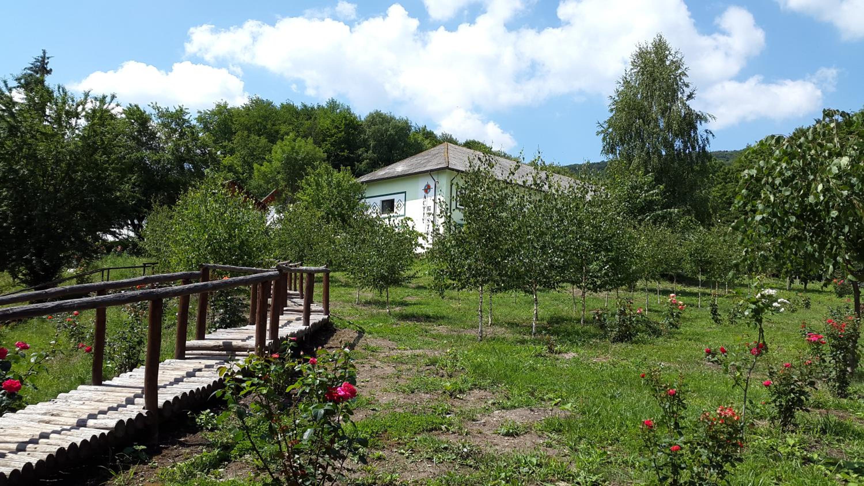 Photo 29