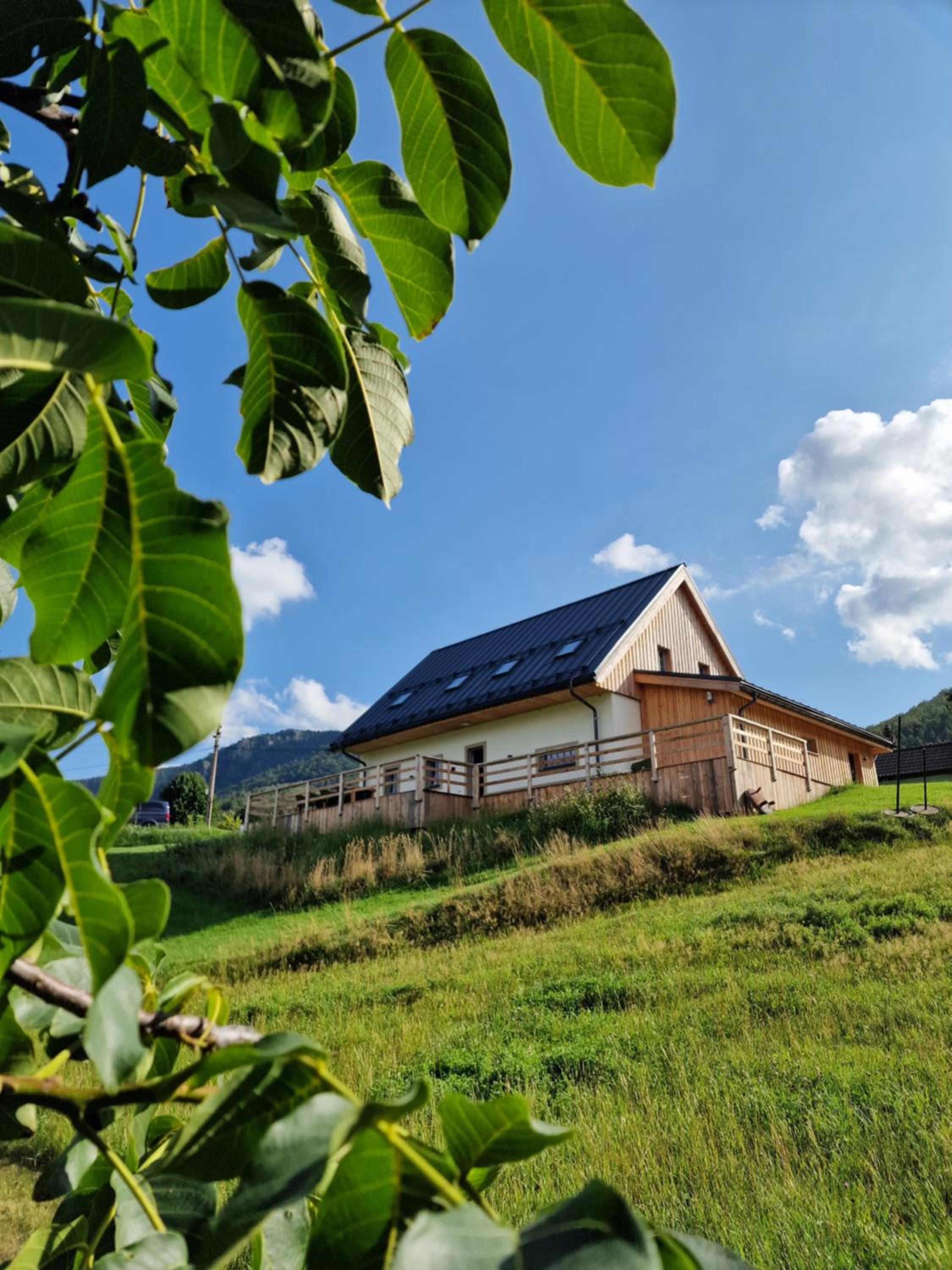 CHALET FERDINAND