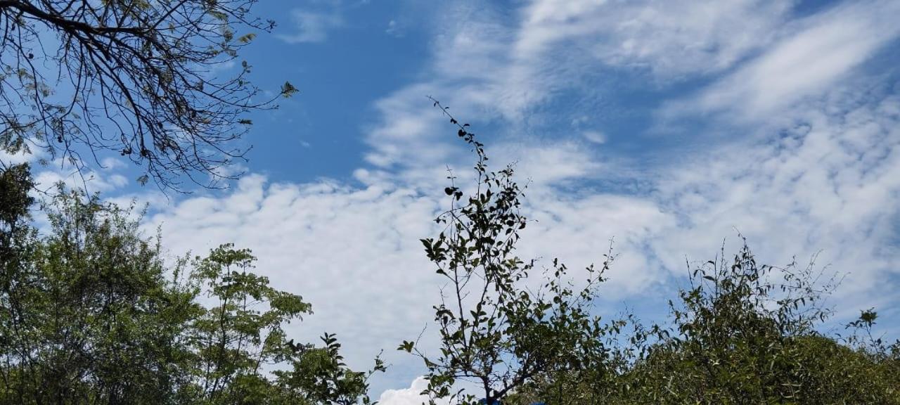 Finca el recuerdo Arbelaence