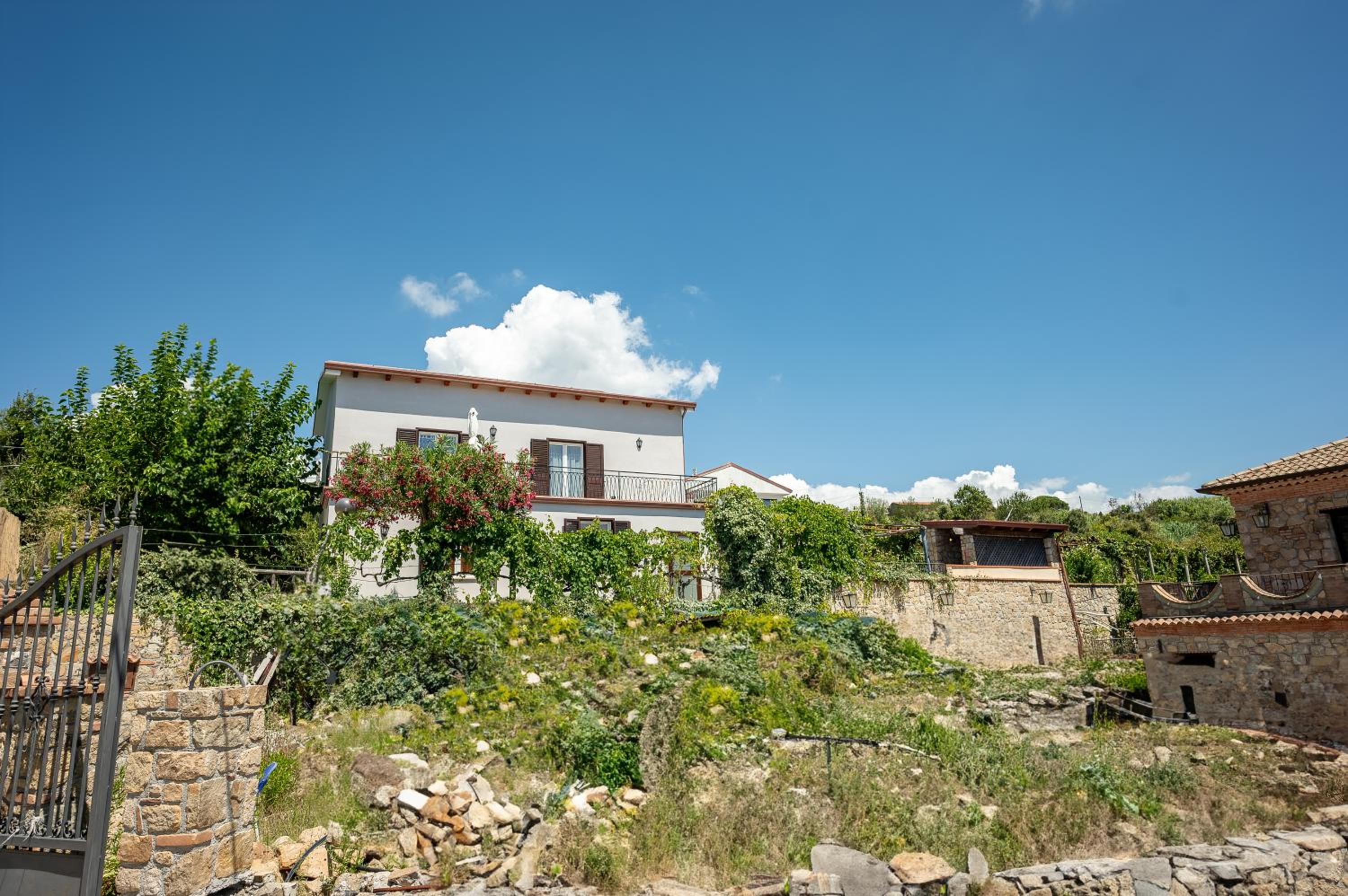 Photo 23