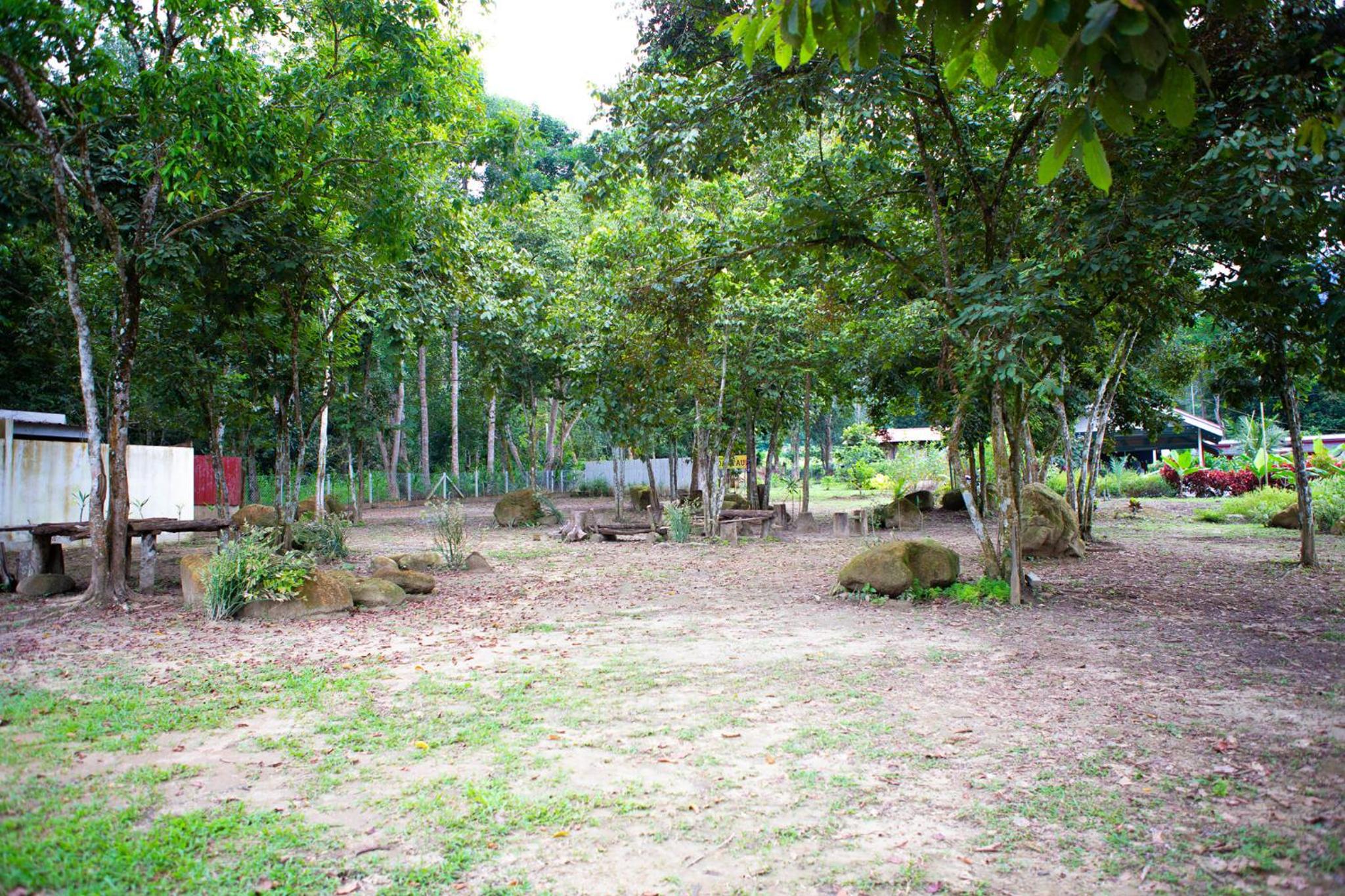 CAMPSITE CMM YAN KEDAH photo 6