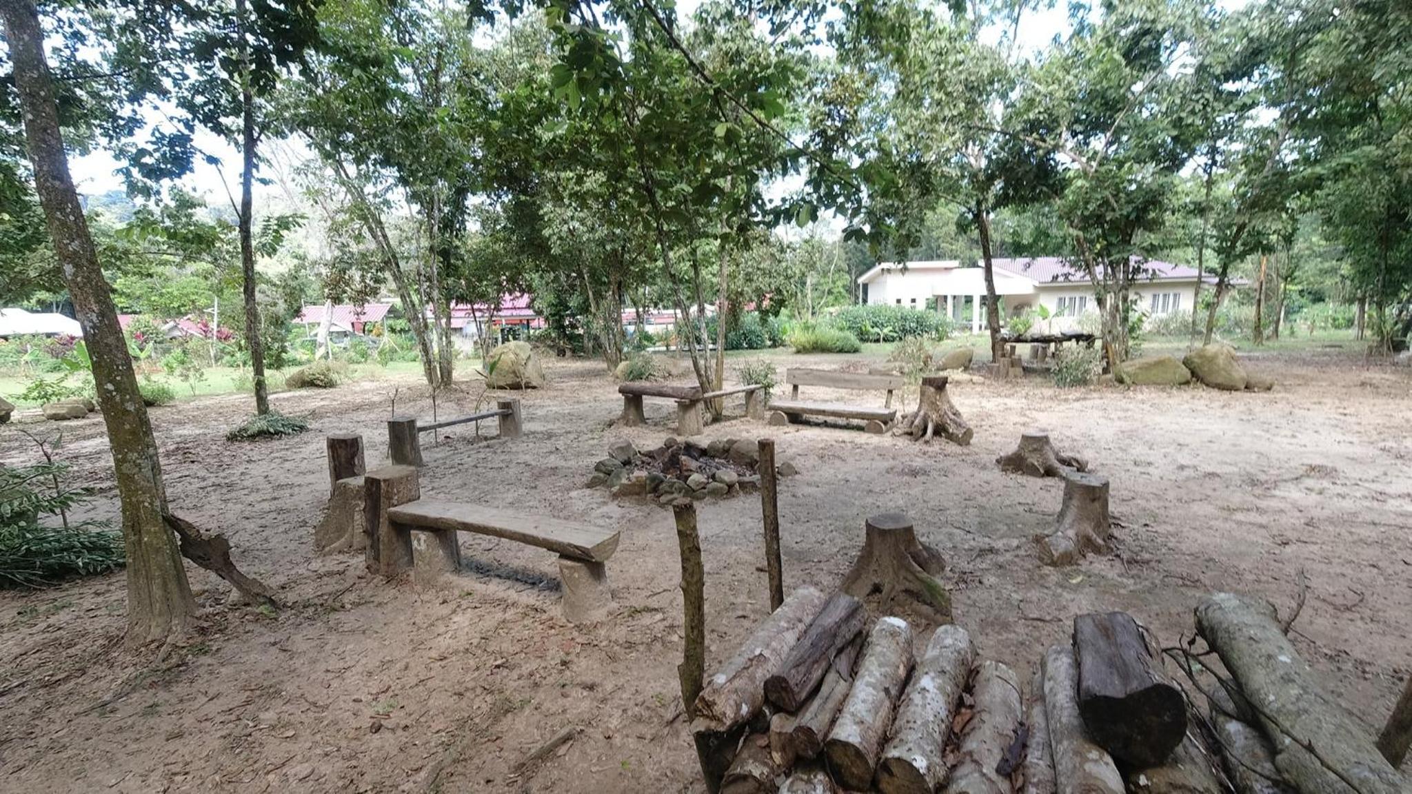 CAMPSITE CMM YAN KEDAH photo 4