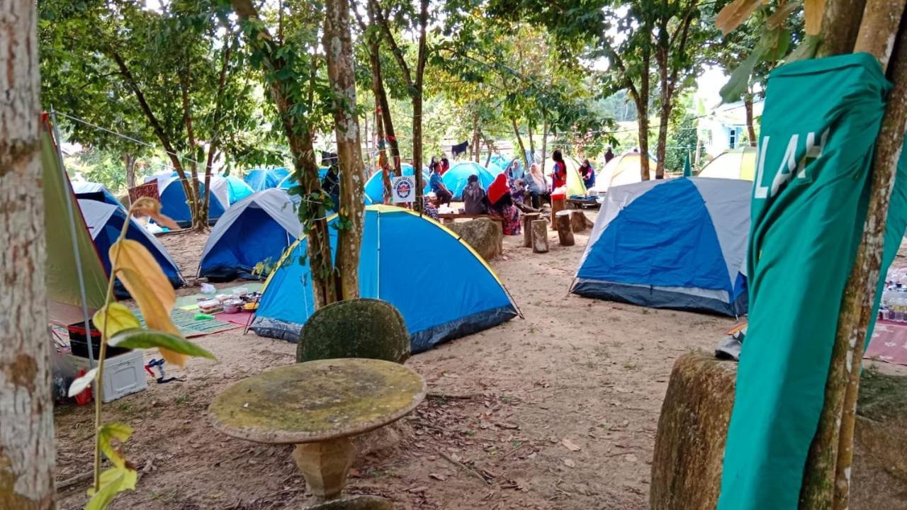 CAMPSITE CMM YAN KEDAH photo 8
