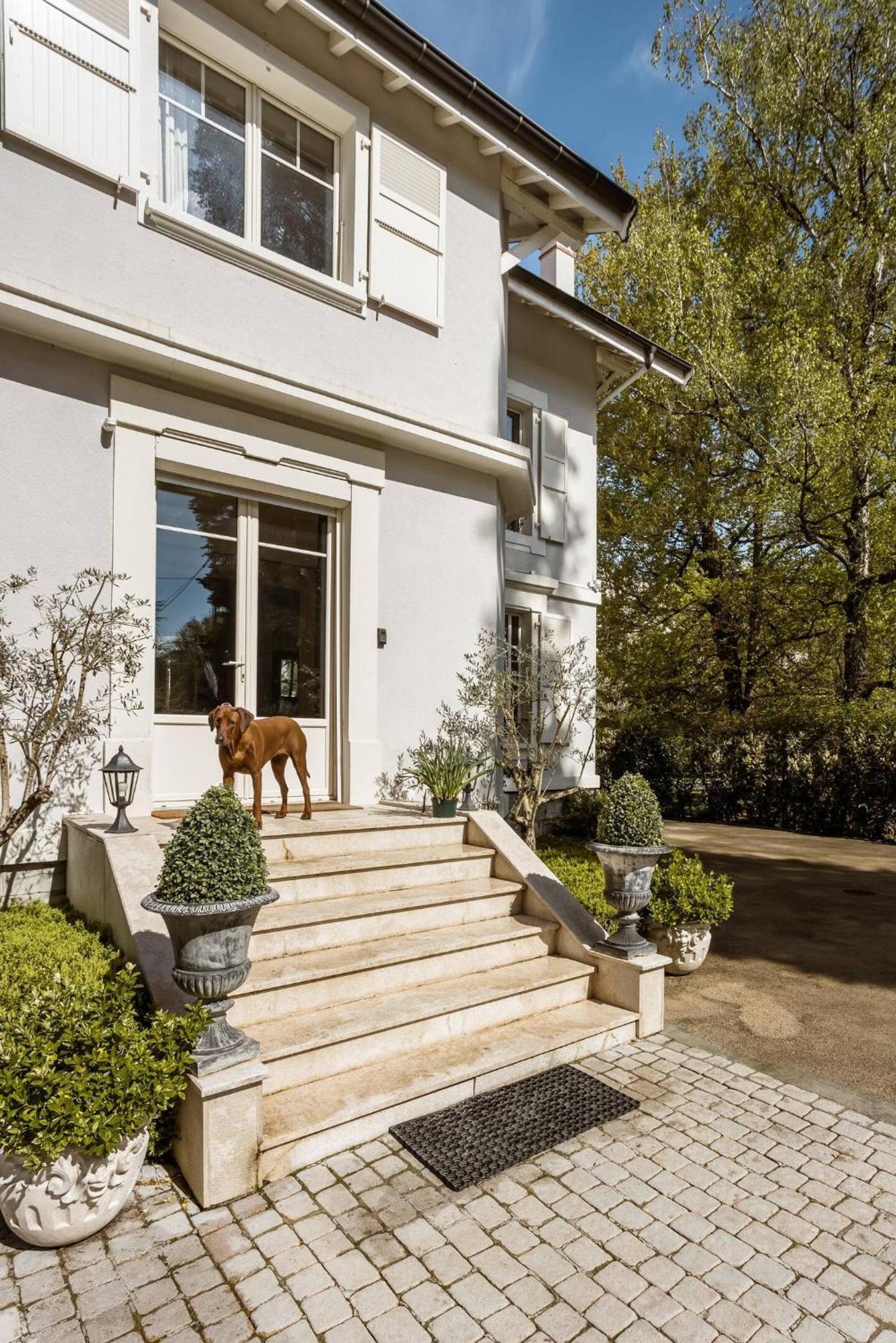 Residence Mont-Blanc Apartment
